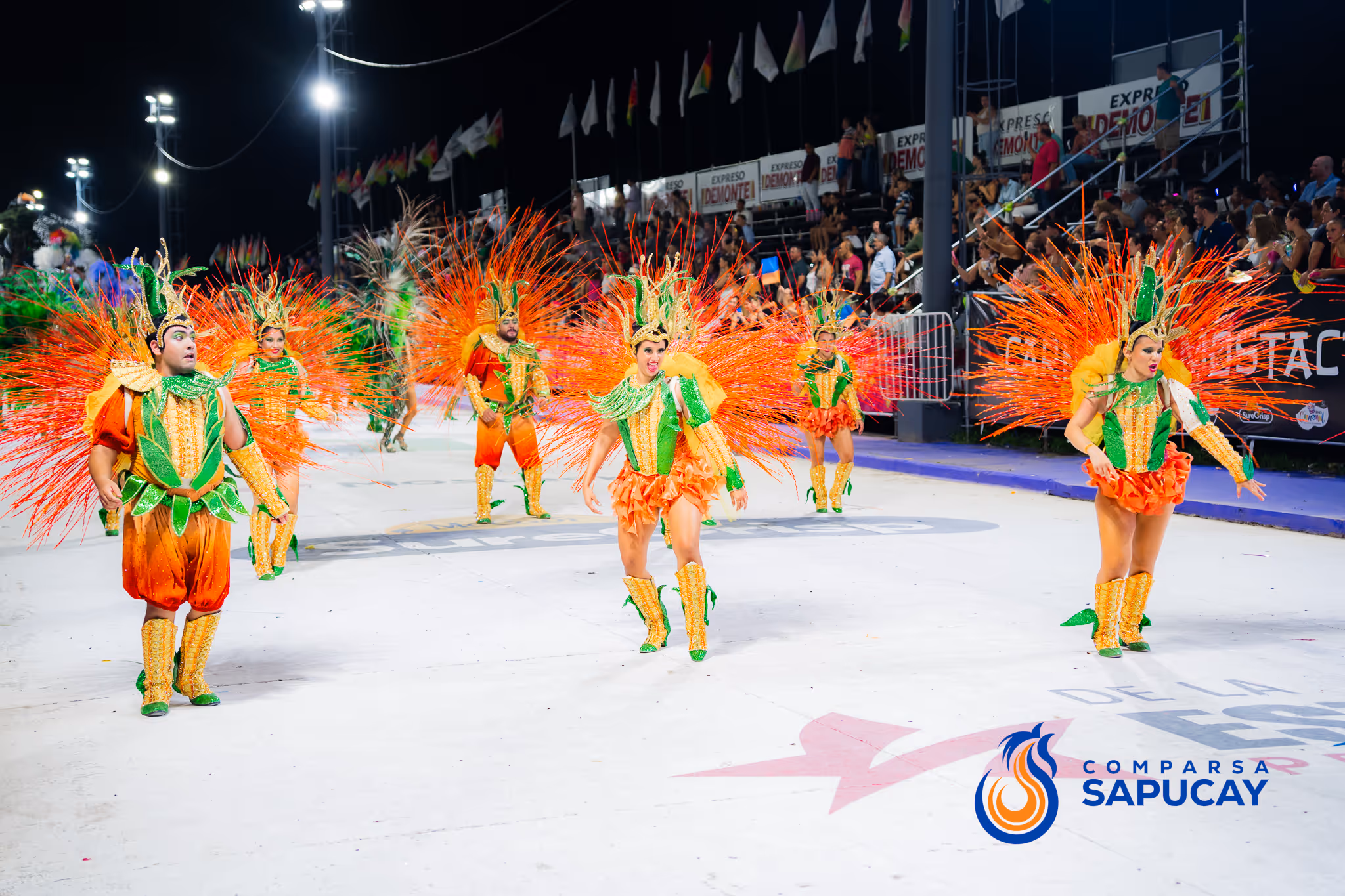 Galería de fotos del corso del Carnaval 2025