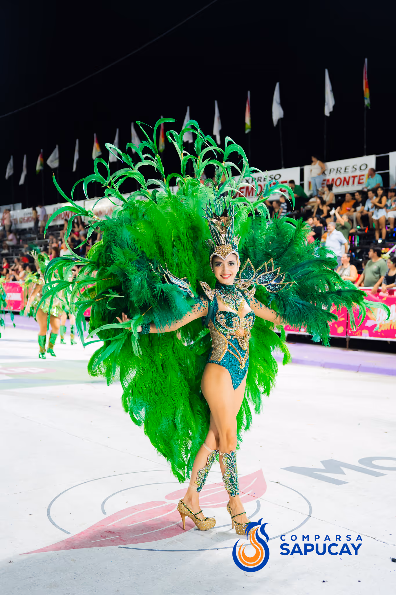 Galería de fotos del corso del Carnaval 2025