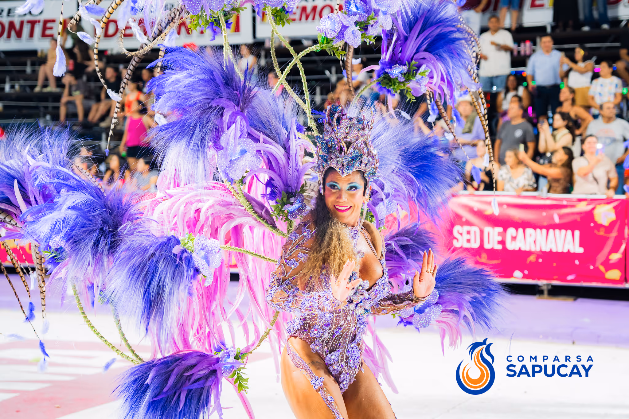 Galería de fotos del corso del Carnaval 2025