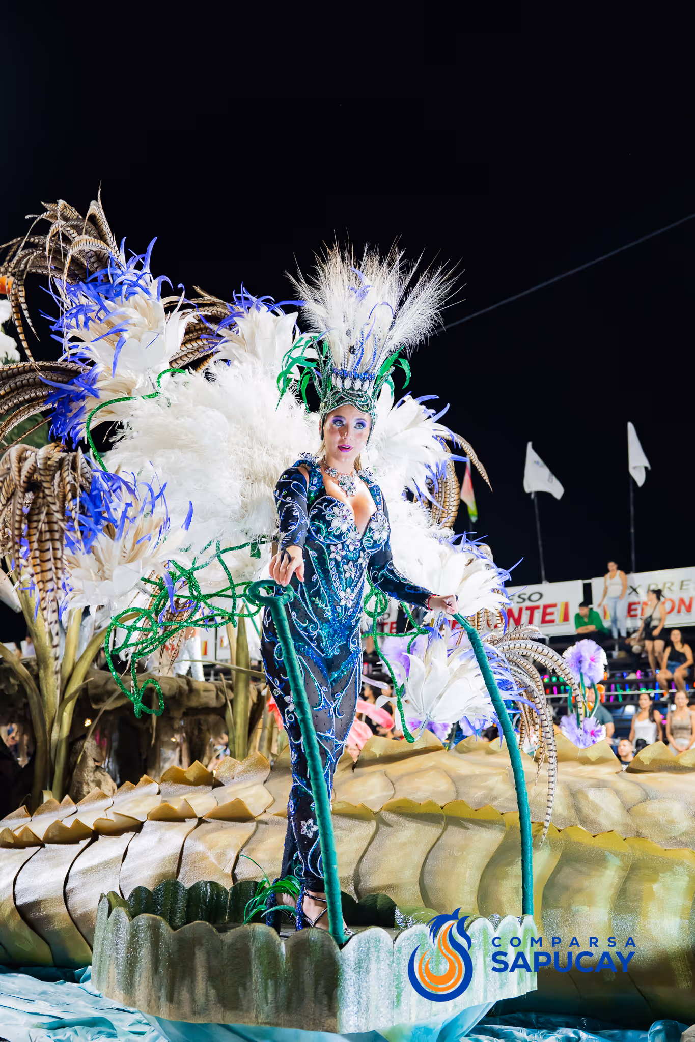Galería de fotos del corso del Carnaval 2025
