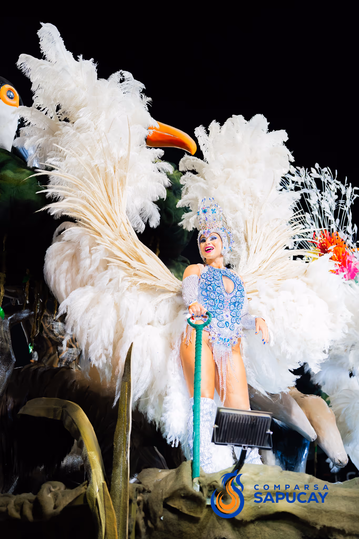 Galería de fotos del corso del Carnaval 2025