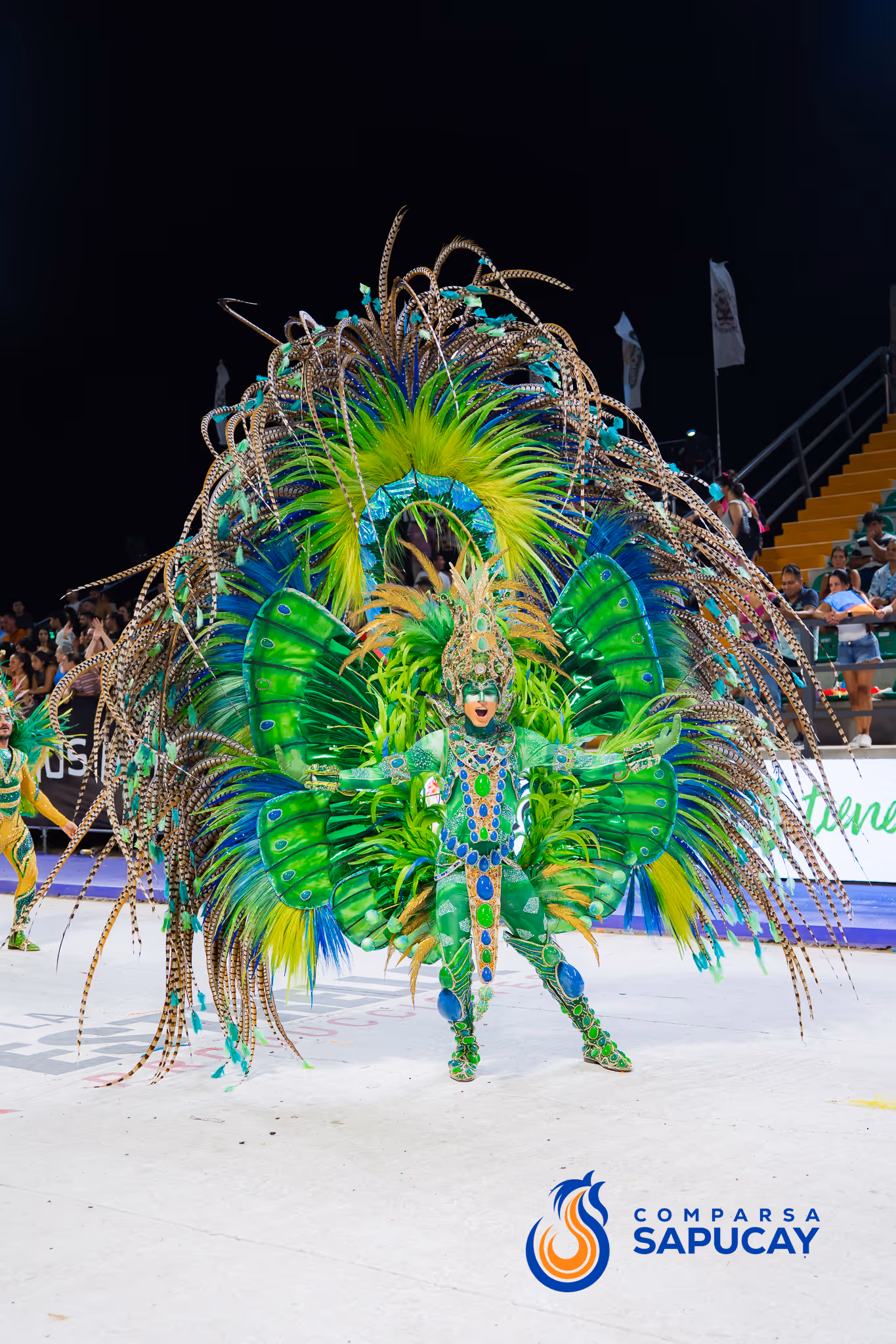Galería de fotos del corso del Carnaval 2025