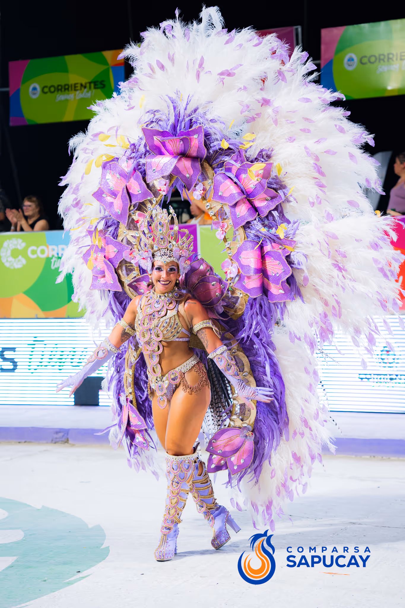 Galería de fotos del corso del Carnaval 2025