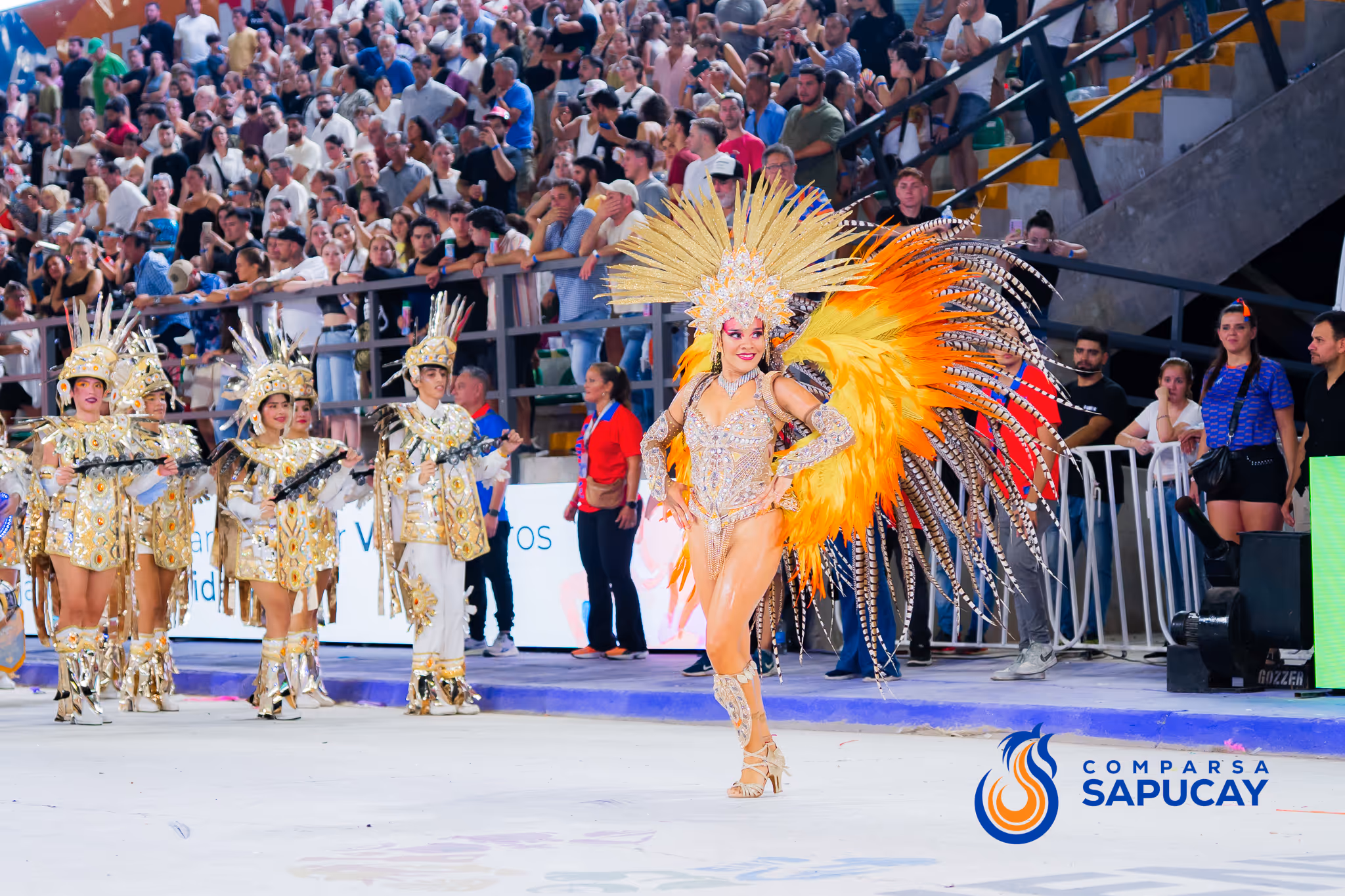 Galería de fotos del corso del Carnaval 2025