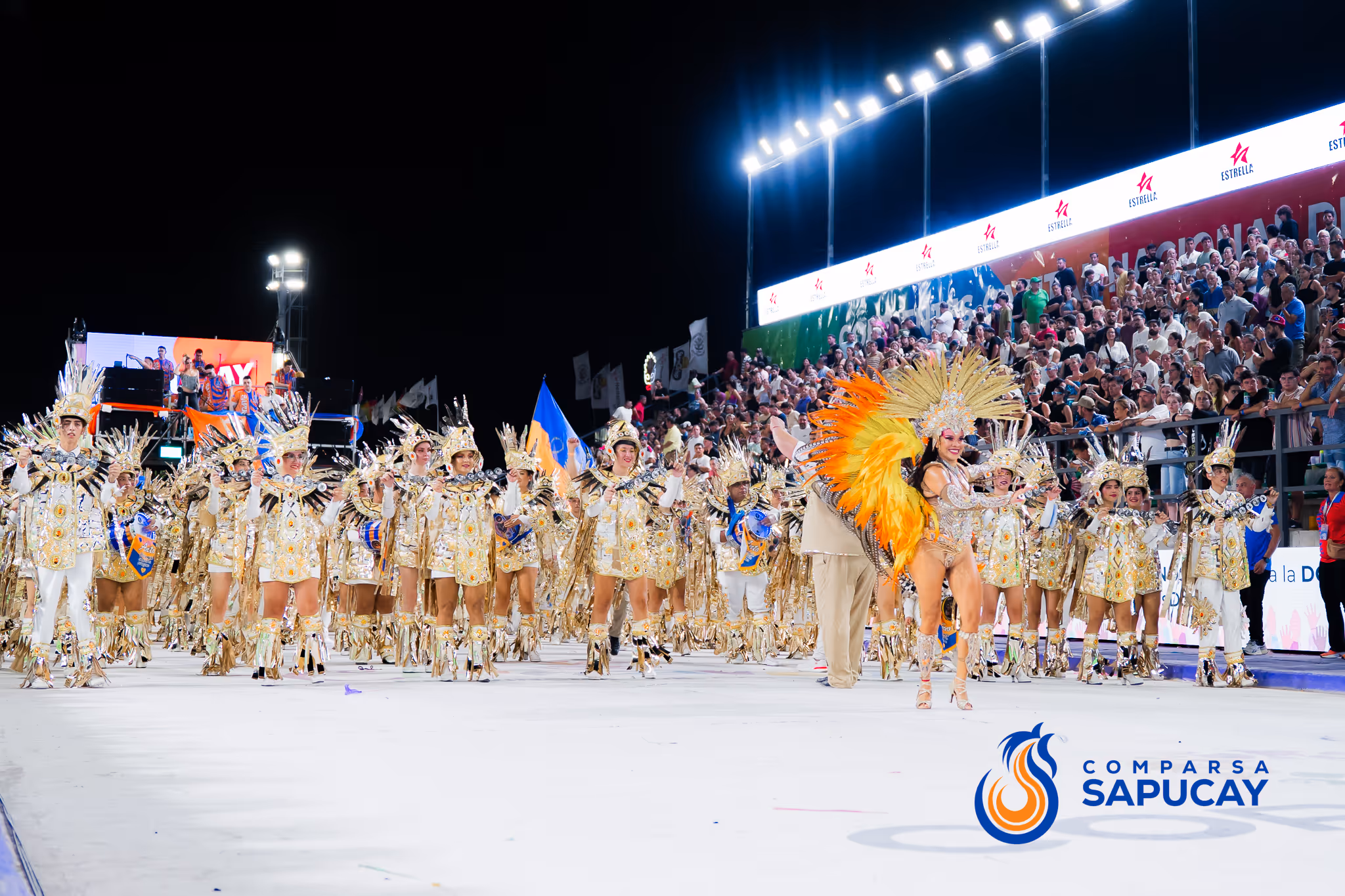 Galería de fotos del corso del Carnaval 2025