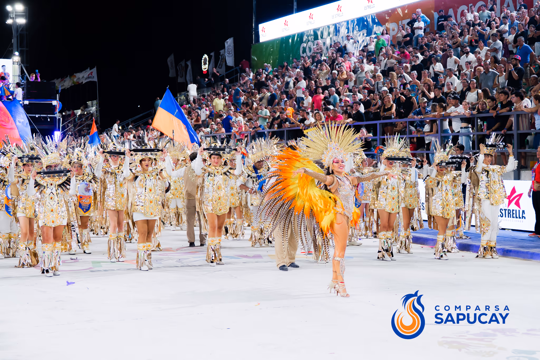 Galería de fotos del corso del Carnaval 2025