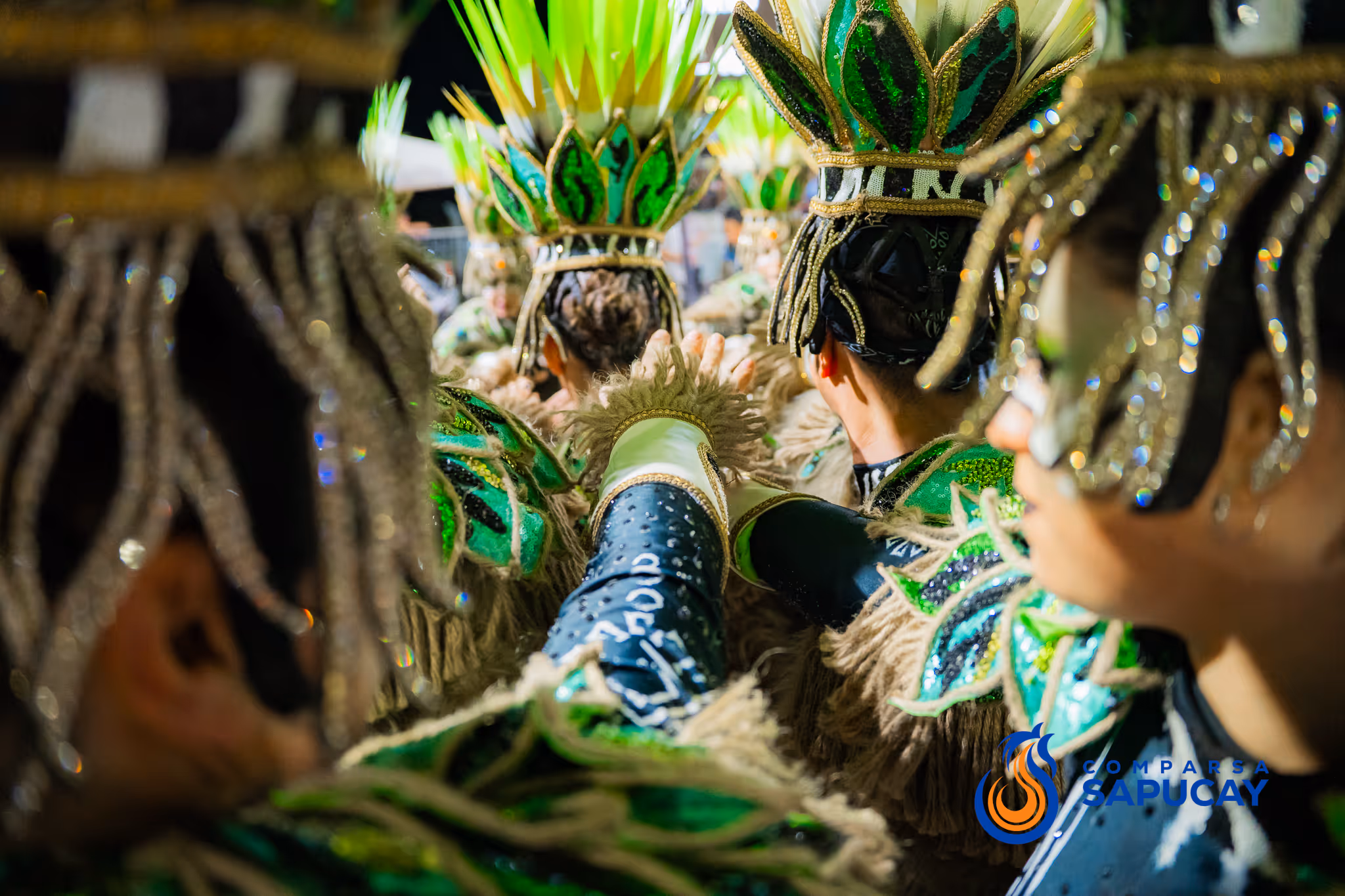 Galería de fotos del corso del Carnaval 2025