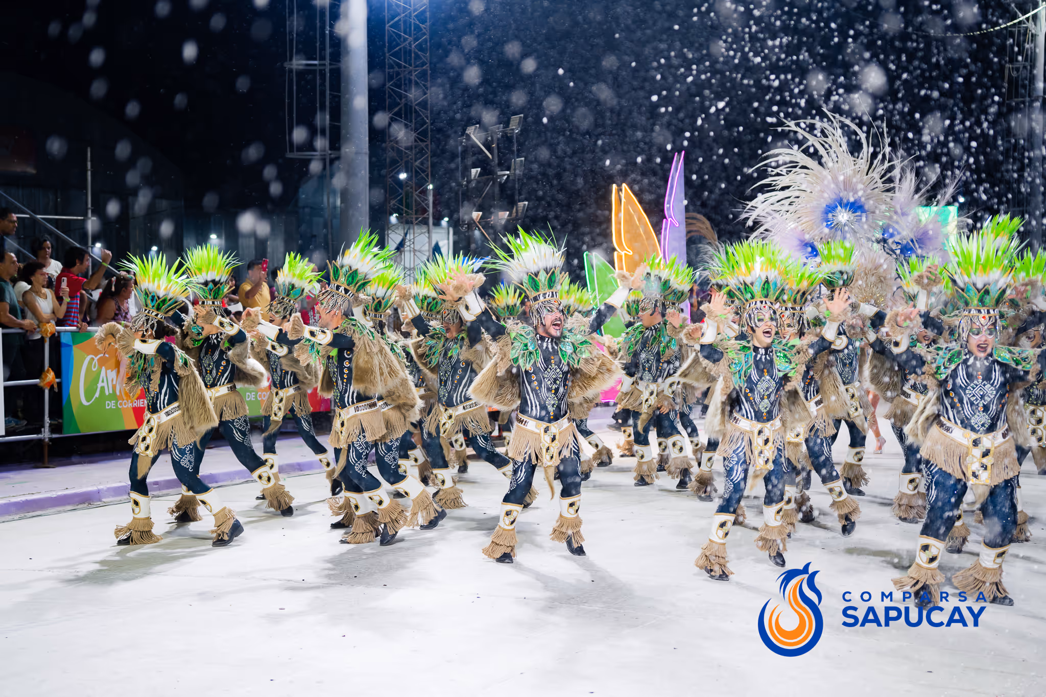 Galería de fotos del corso del Carnaval 2025