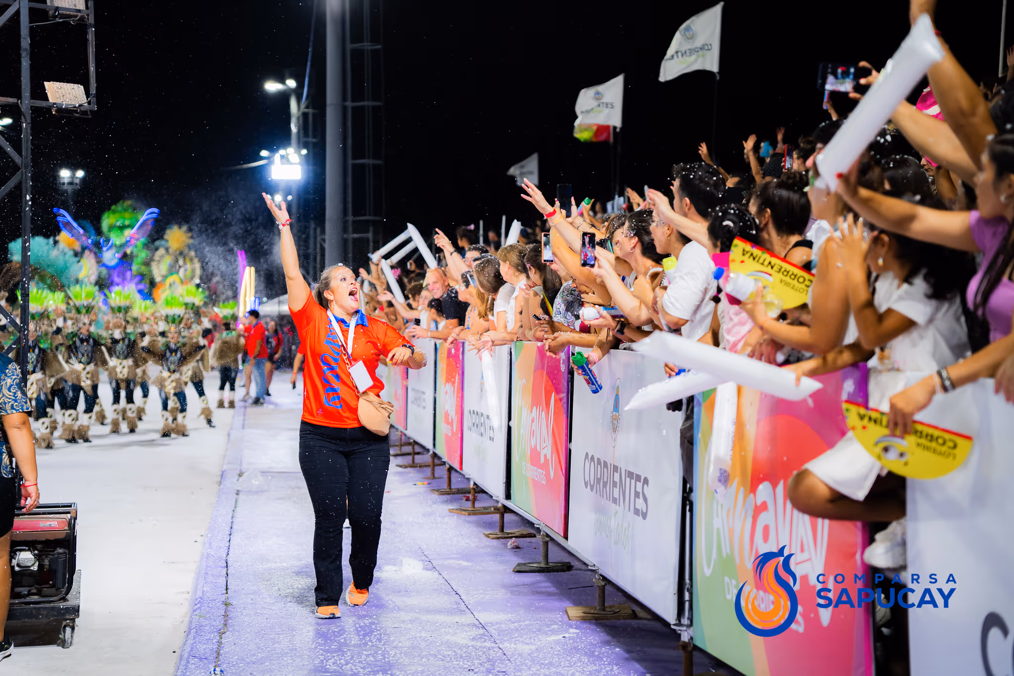 Galería de fotos del corso del Carnaval 2025