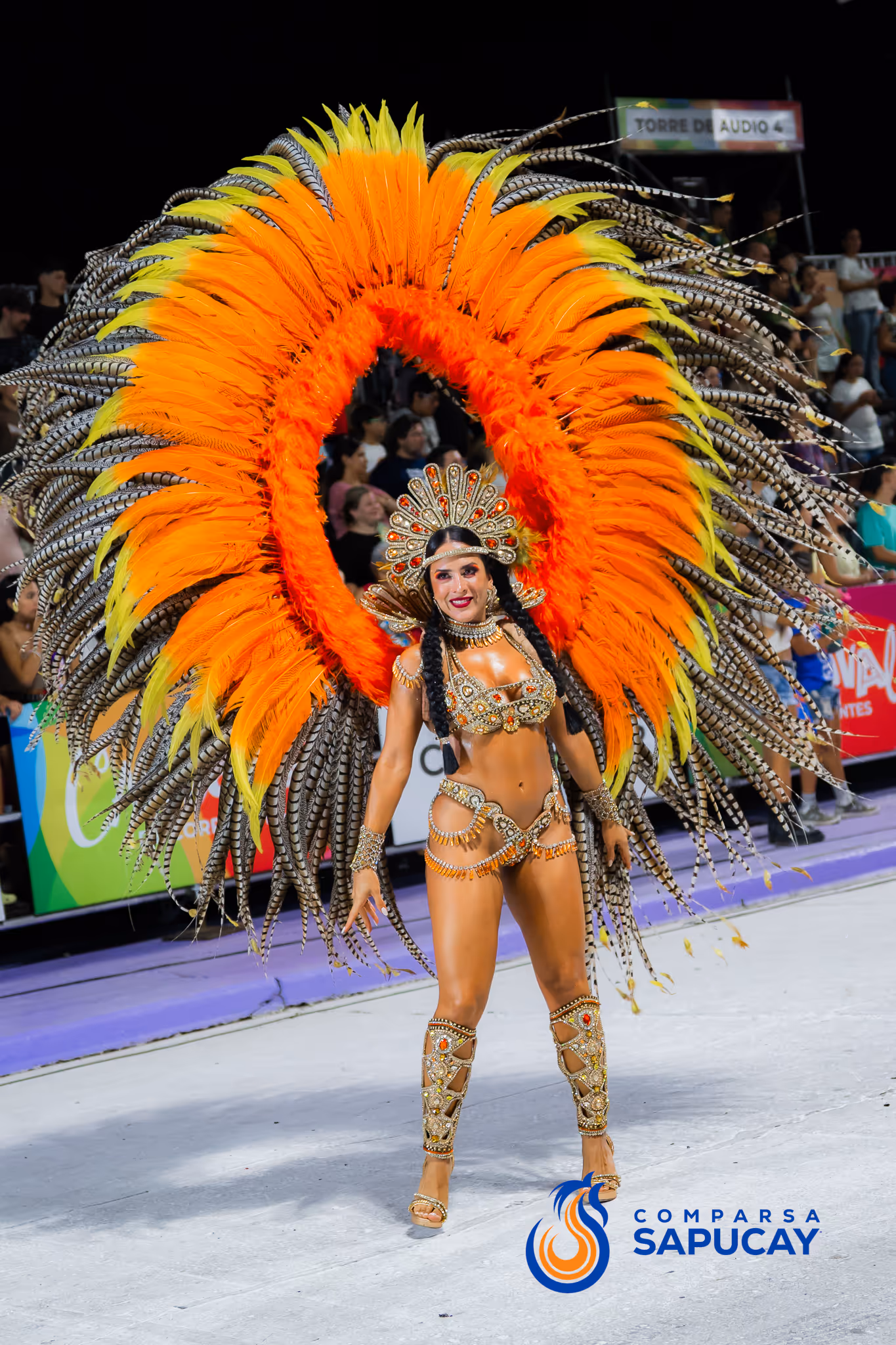 Galería de fotos del corso del Carnaval 2025