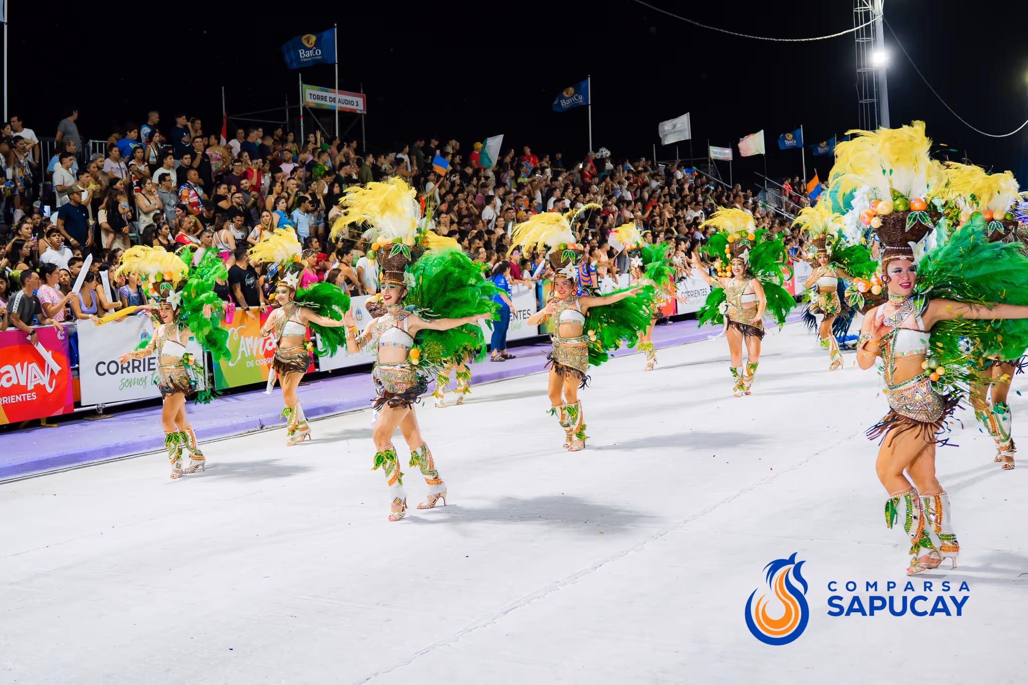 Galería de fotos del corso del Carnaval 2025