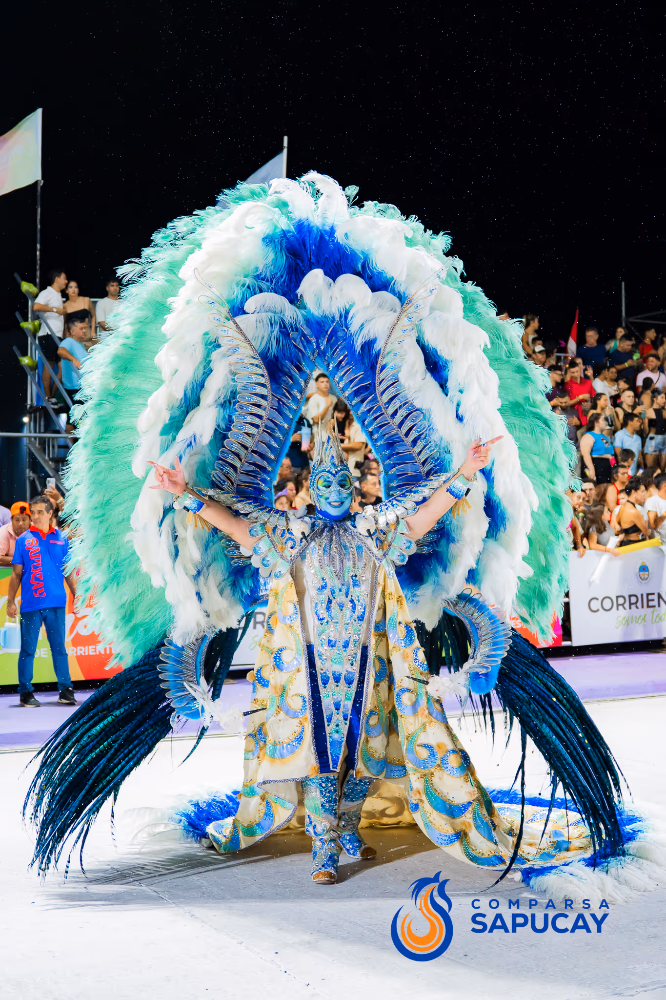 Galería de fotos del corso del Carnaval 2025