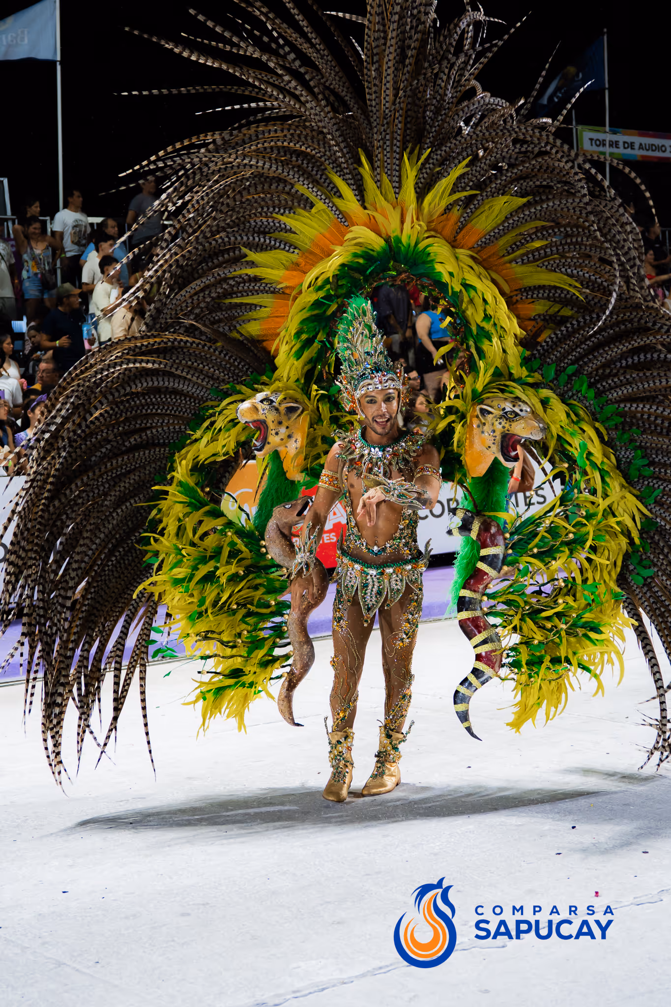 Galería de fotos del corso del Carnaval 2025
