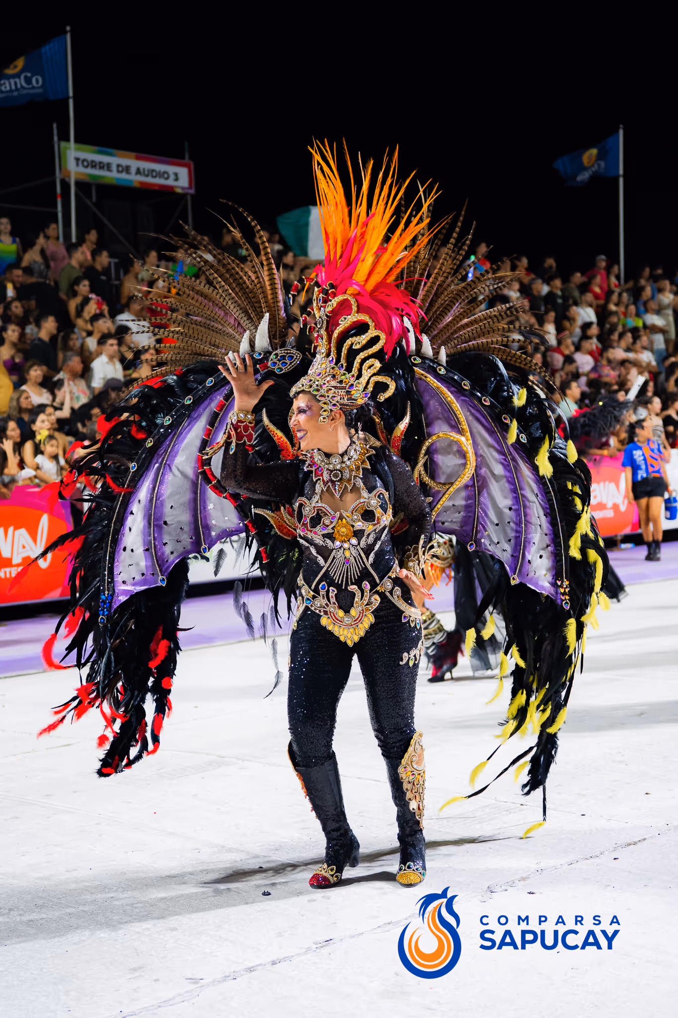 Galería de fotos del corso del Carnaval 2025