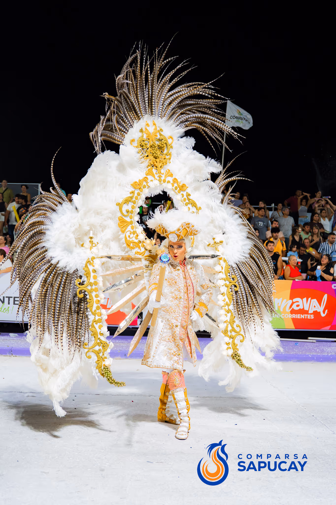Galería de fotos del corso del Carnaval 2025