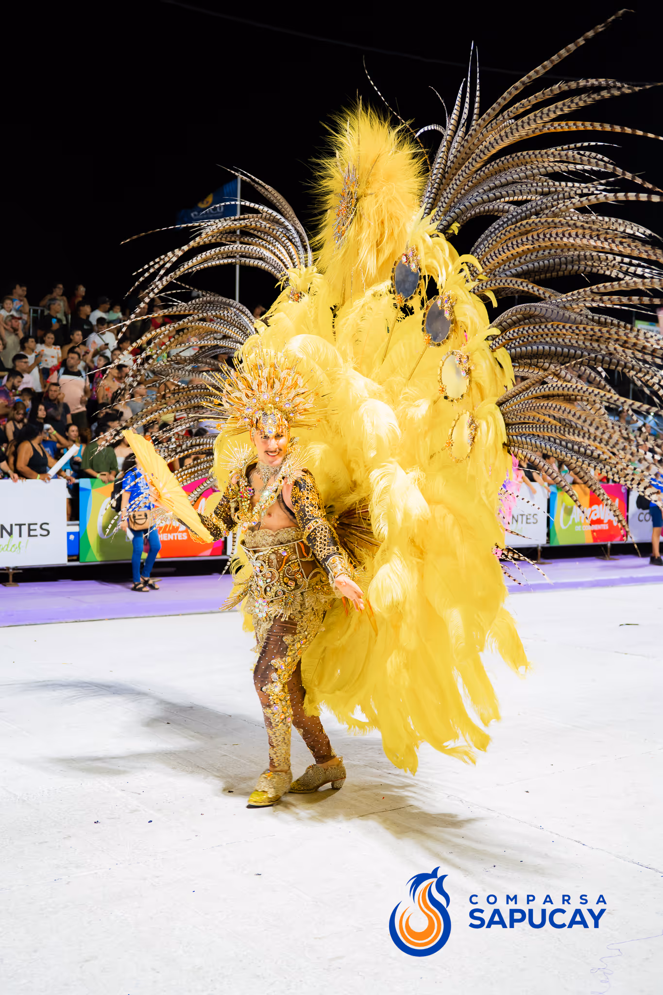 Galería de fotos del corso del Carnaval 2025