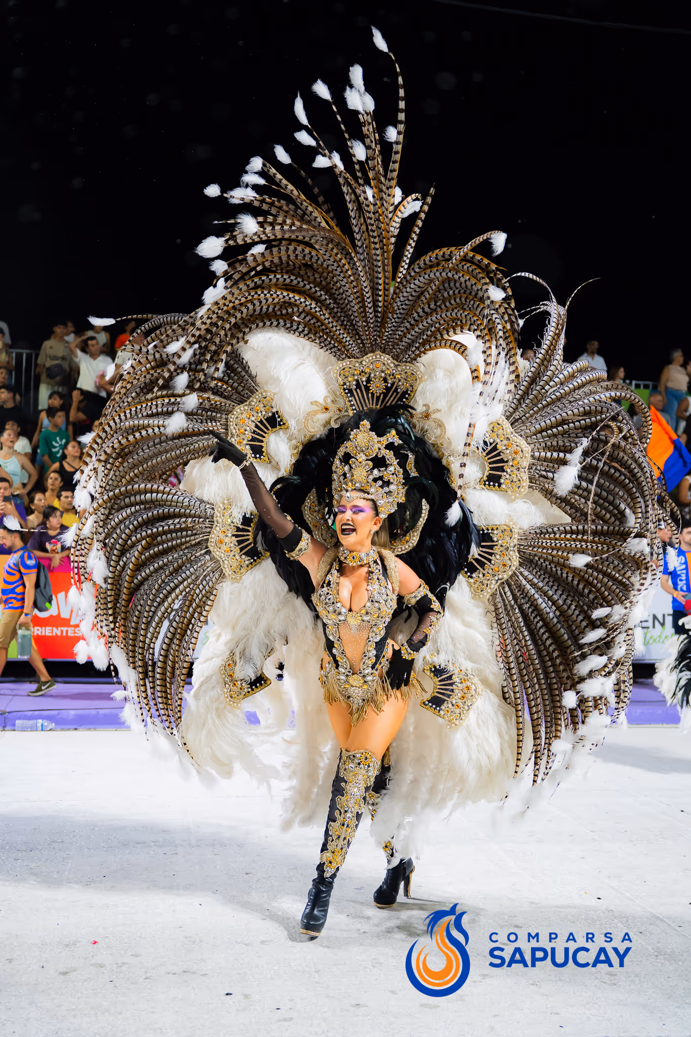 Galería de fotos del corso del Carnaval 2025