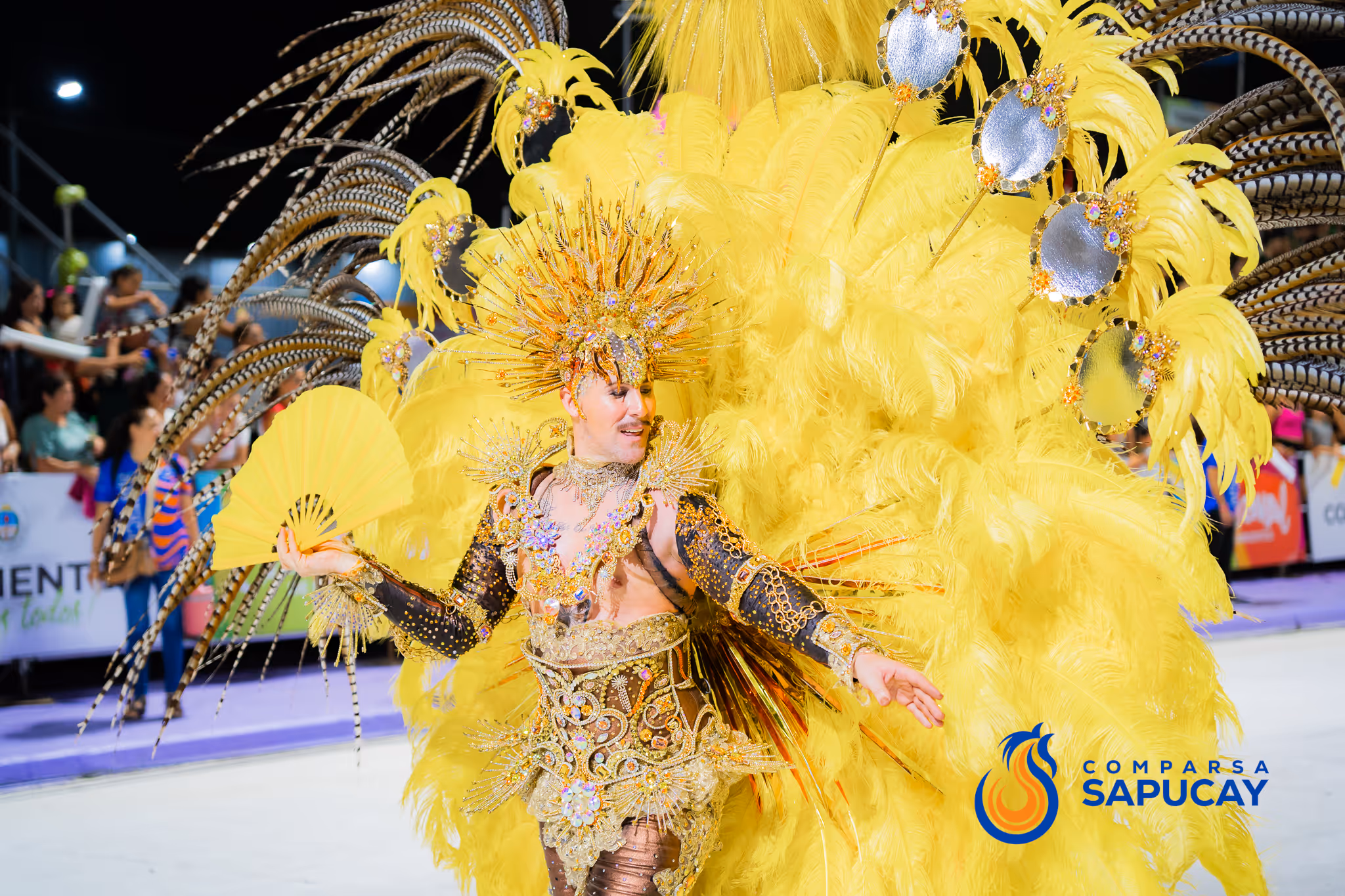 Galería de fotos del corso del Carnaval 2025