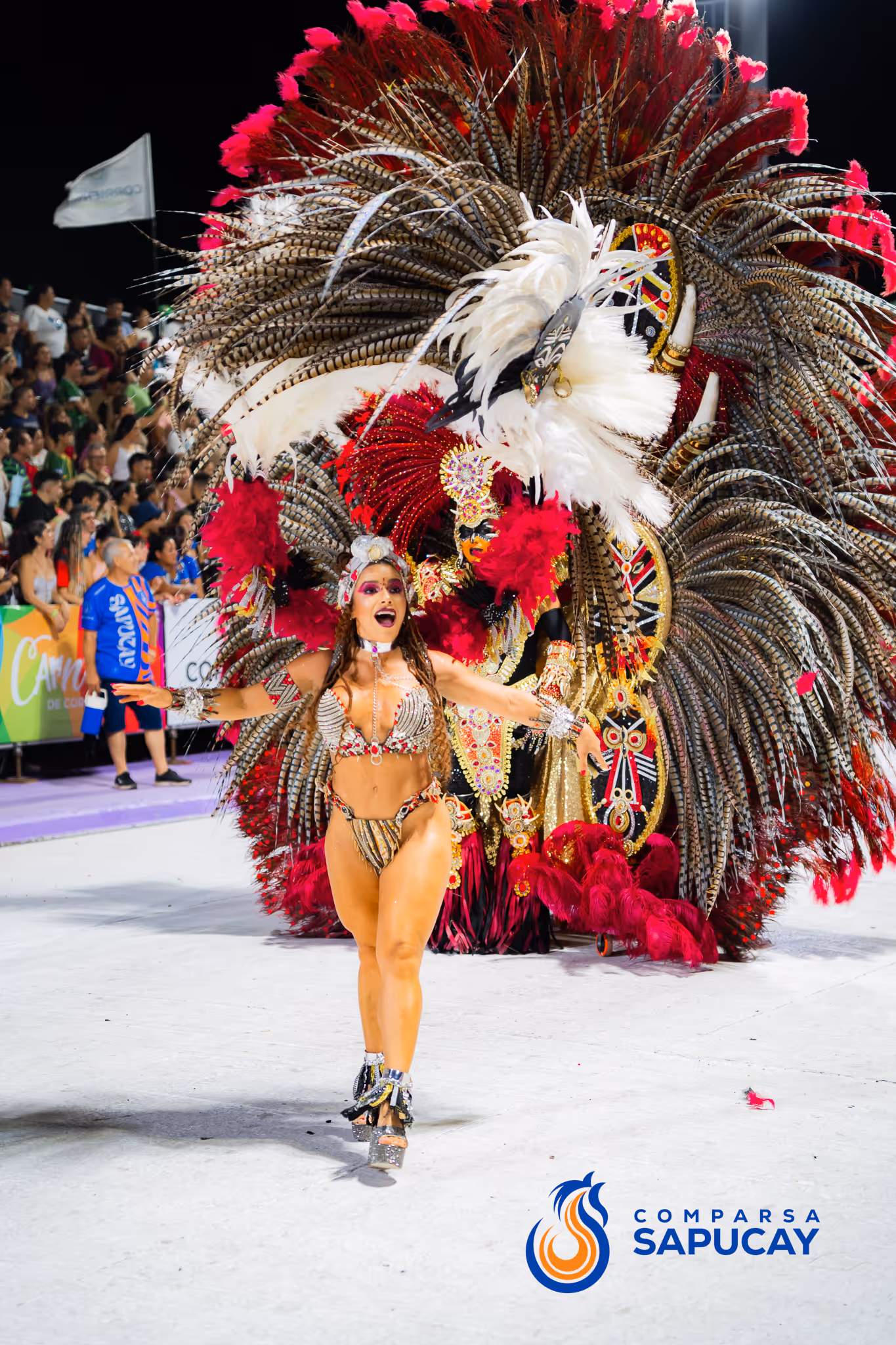 Galería de fotos del corso del Carnaval 2025