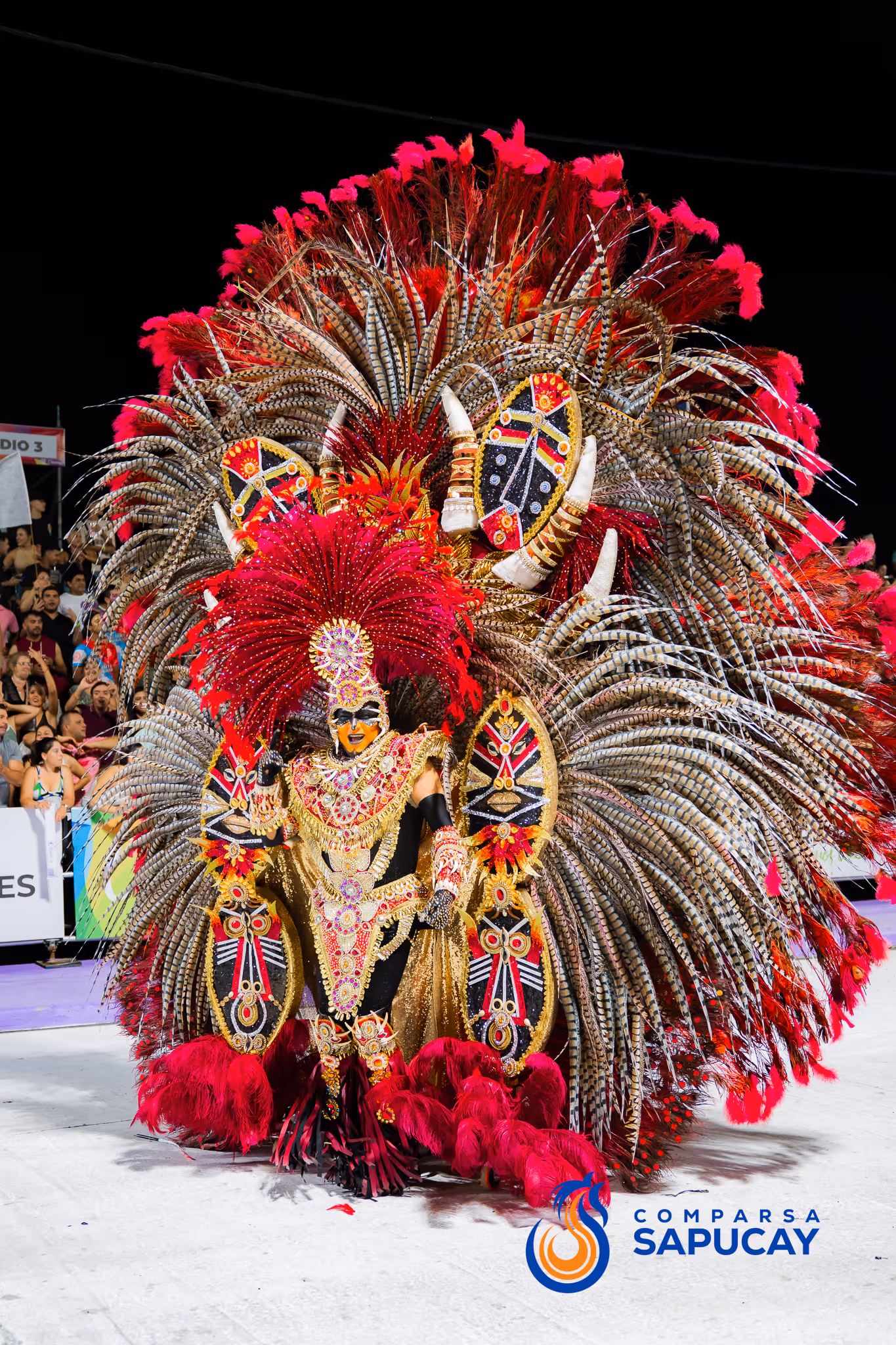 Galería de fotos del corso del Carnaval 2025