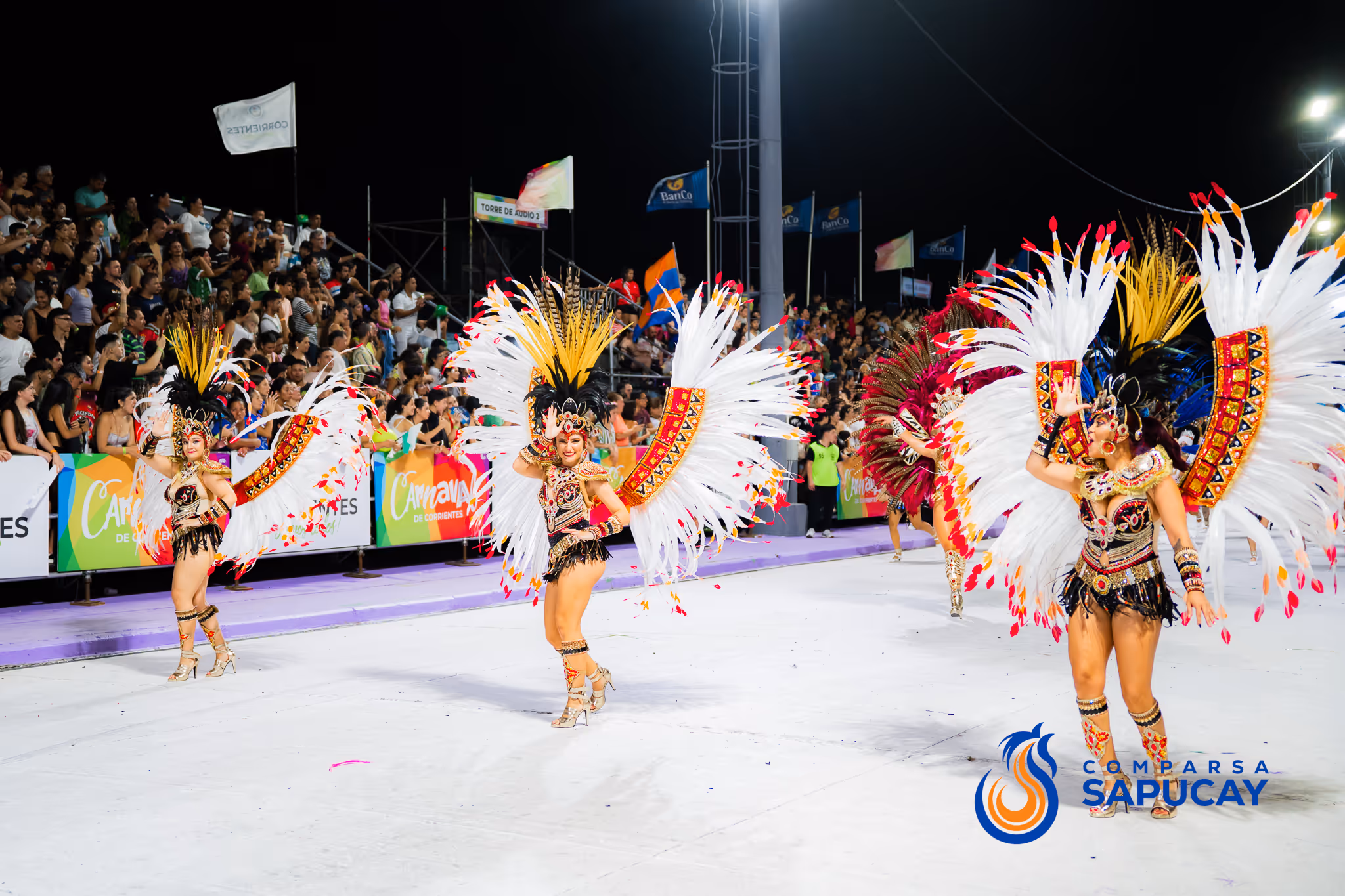 Galería de fotos del corso del Carnaval 2025