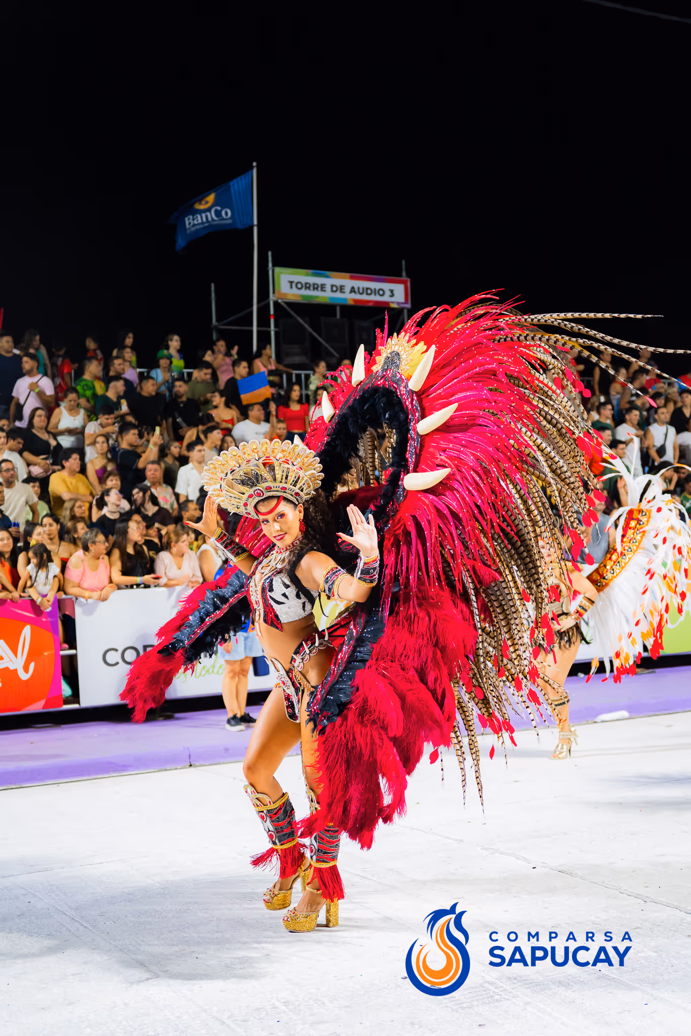 Galería de fotos del corso del Carnaval 2025