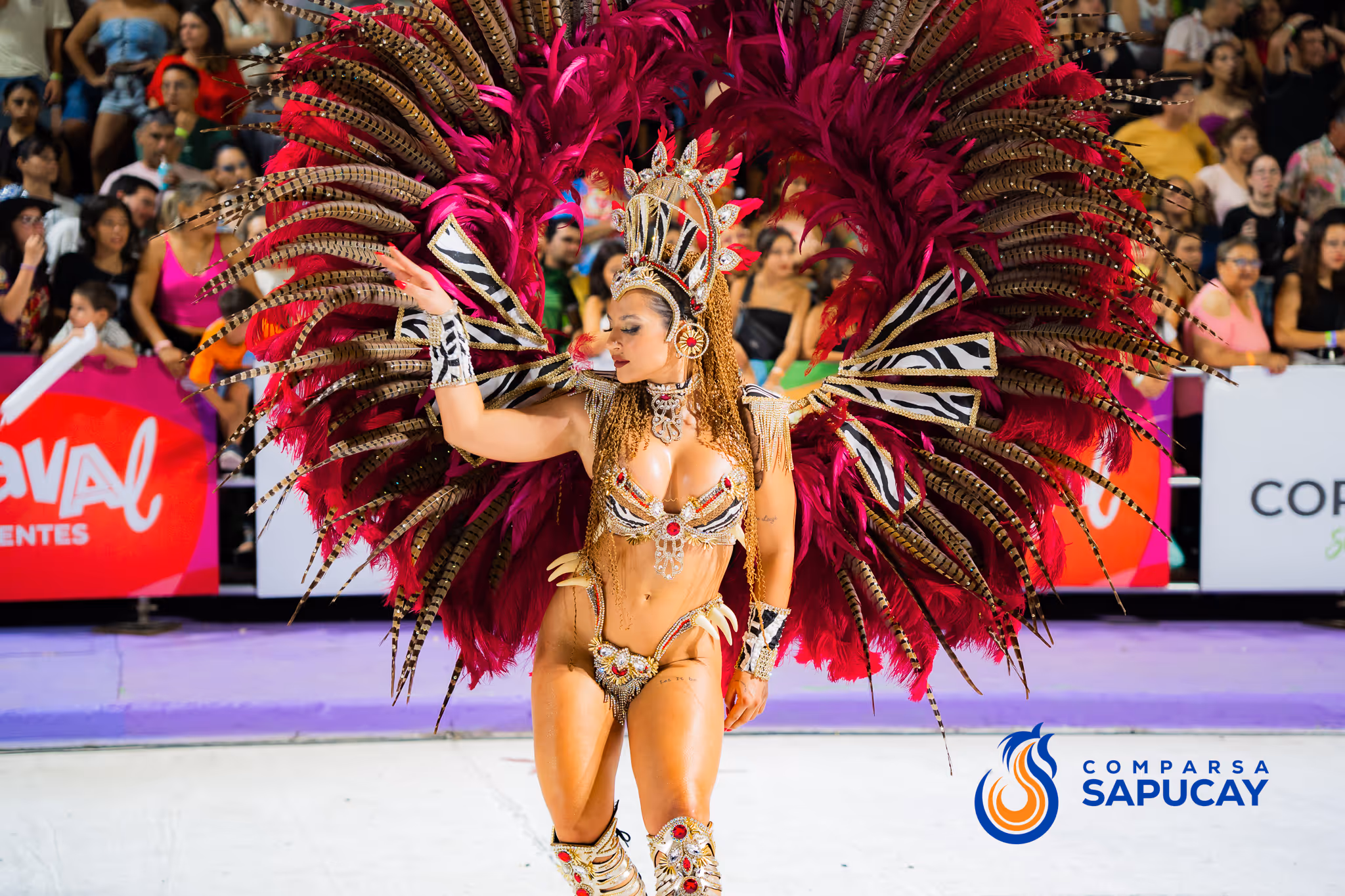 Galería de fotos del corso del Carnaval 2025