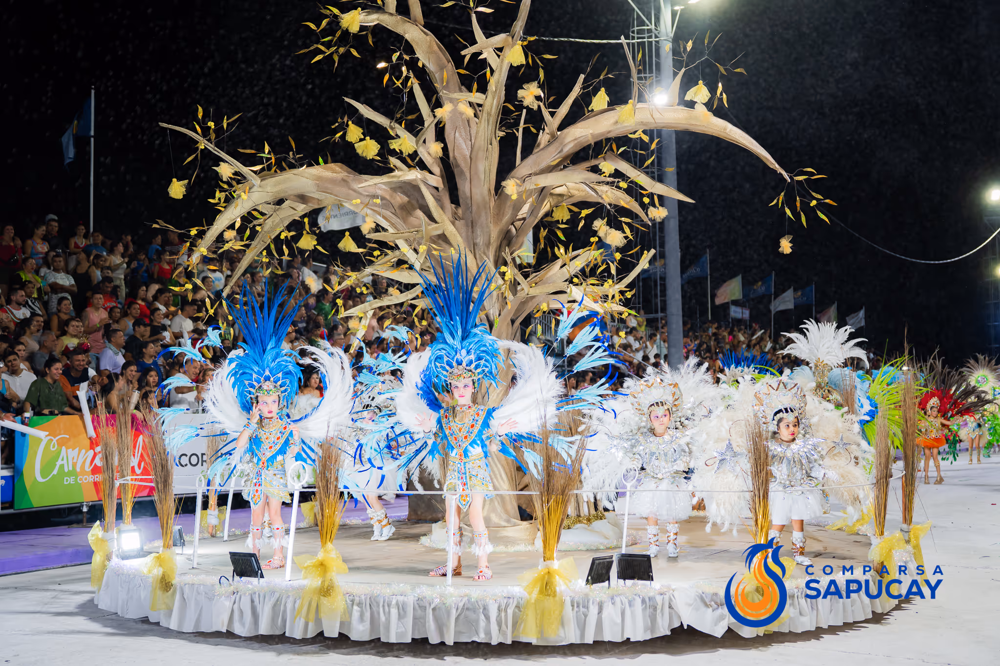 Galería de fotos del corso del Carnaval 2025