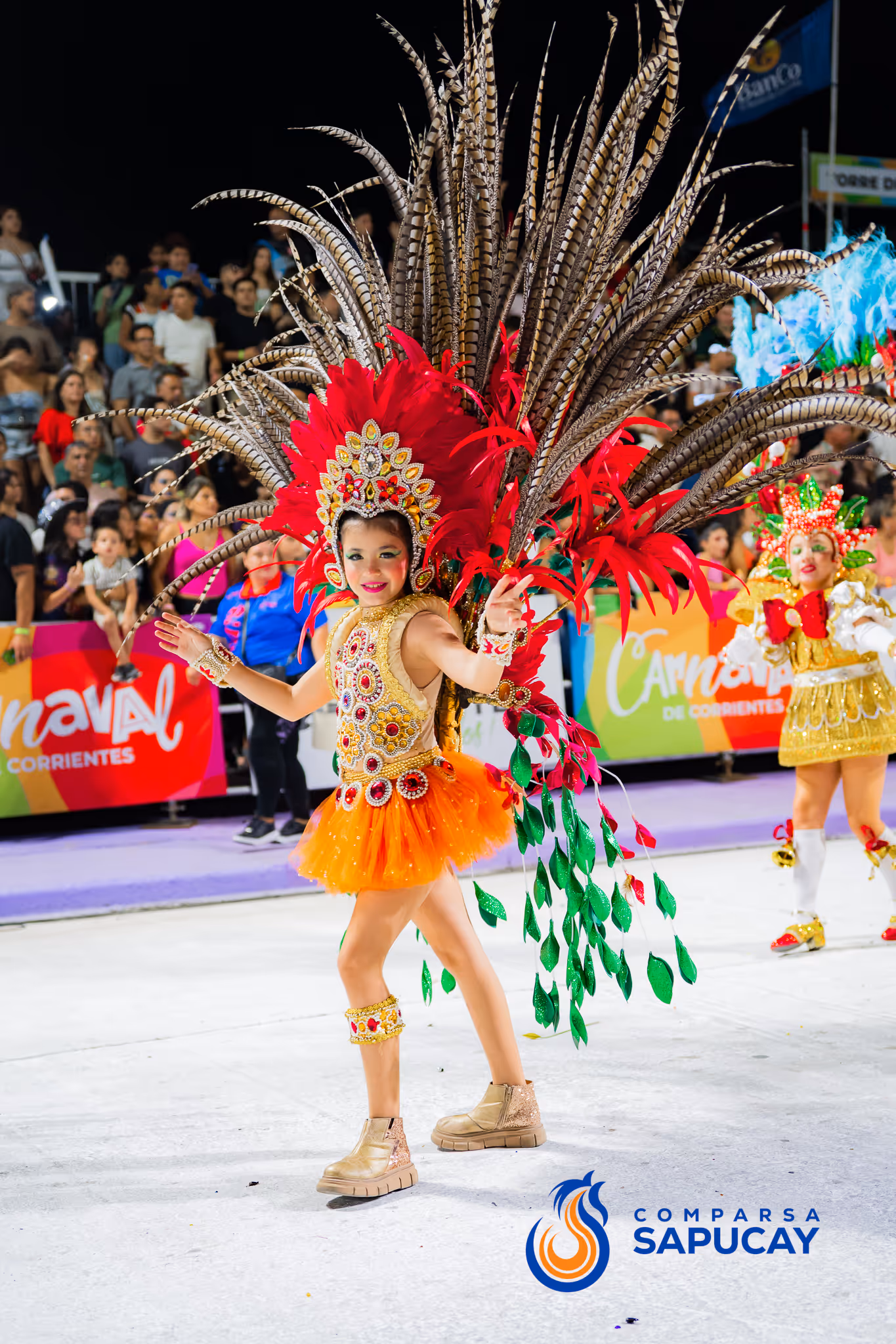 Galería de fotos del corso del Carnaval 2025