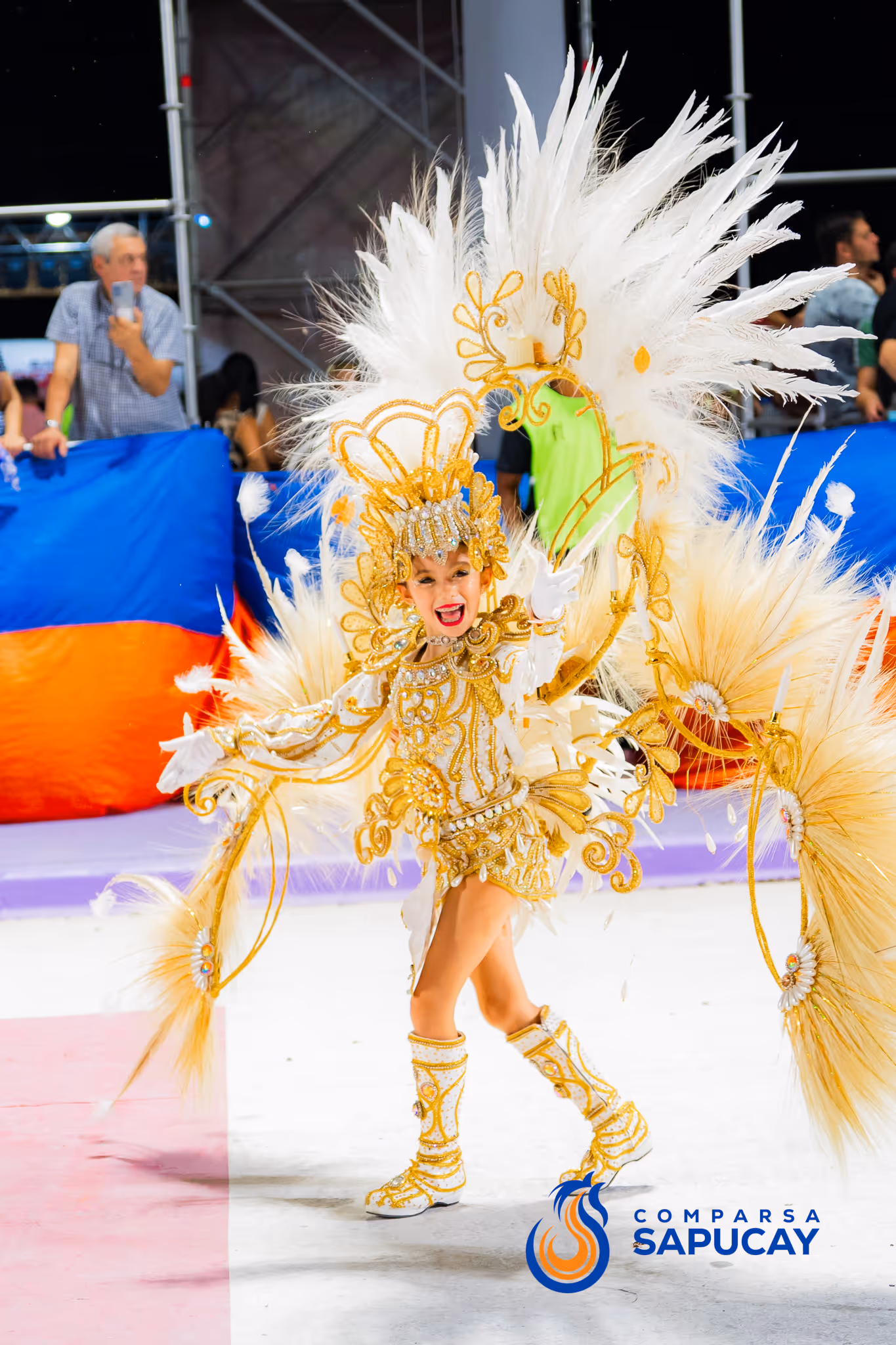 Galería de fotos del corso del Carnaval 2025