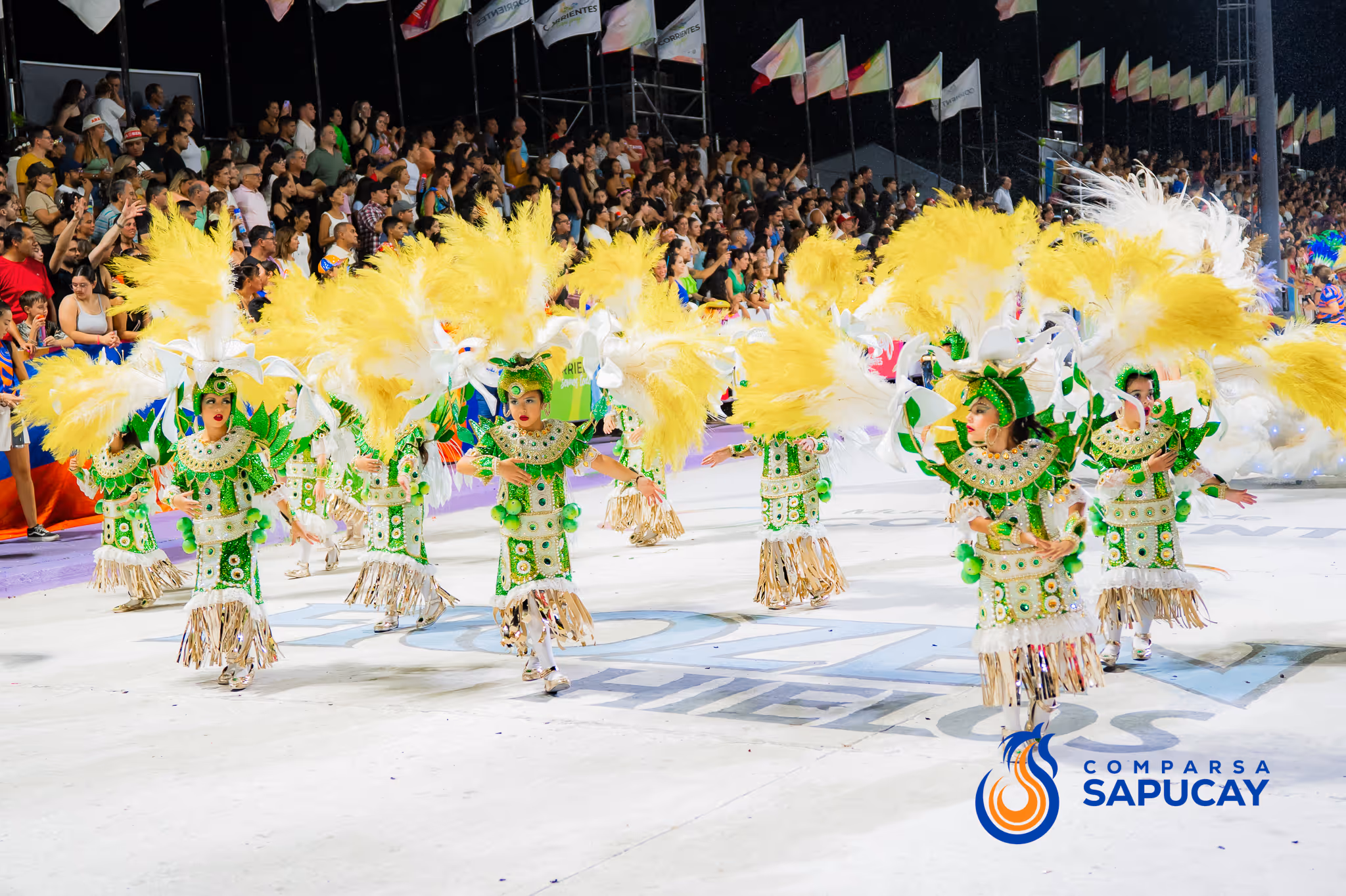Galería de fotos del corso del Carnaval 2025