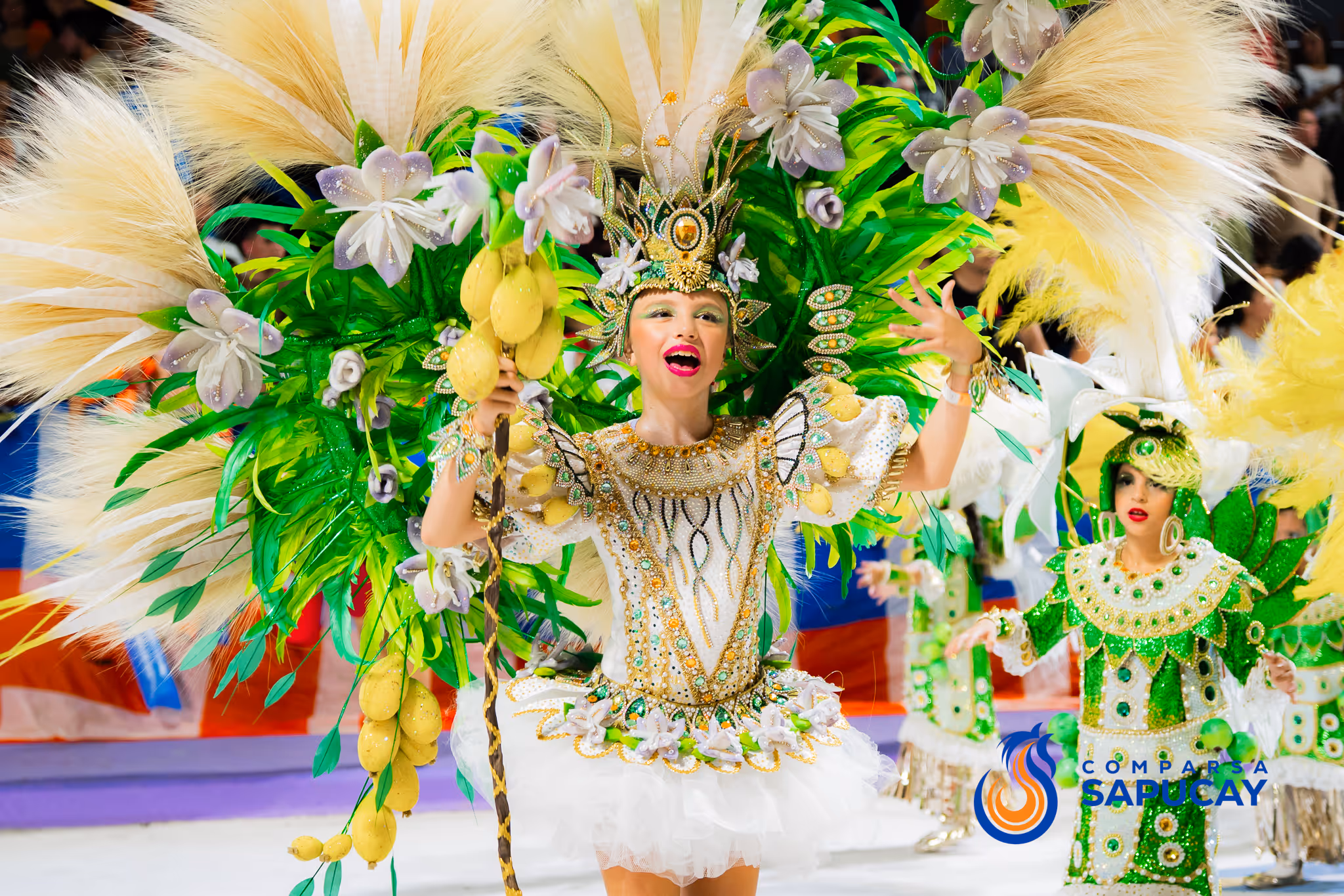 Galería de fotos del corso del Carnaval 2025
