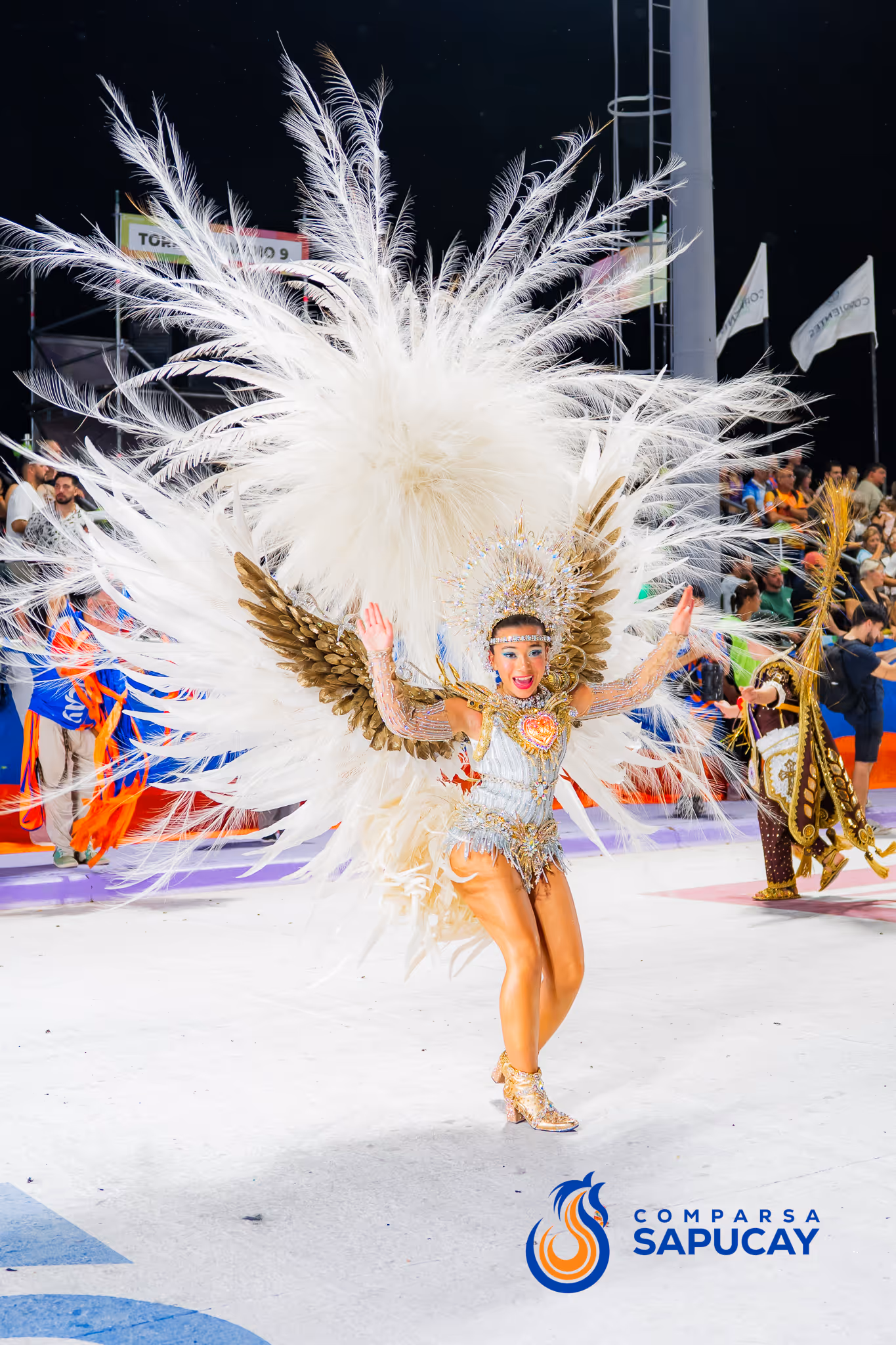 Galería de fotos del corso del Carnaval 2025