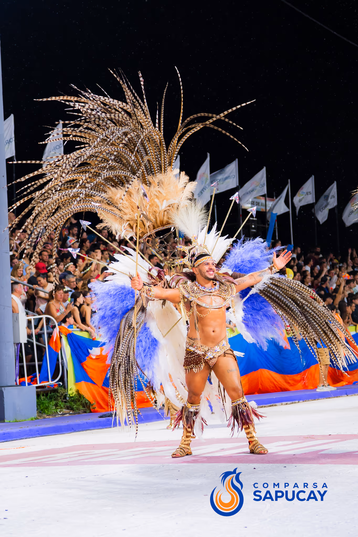 Galería de fotos del corso del Carnaval 2025