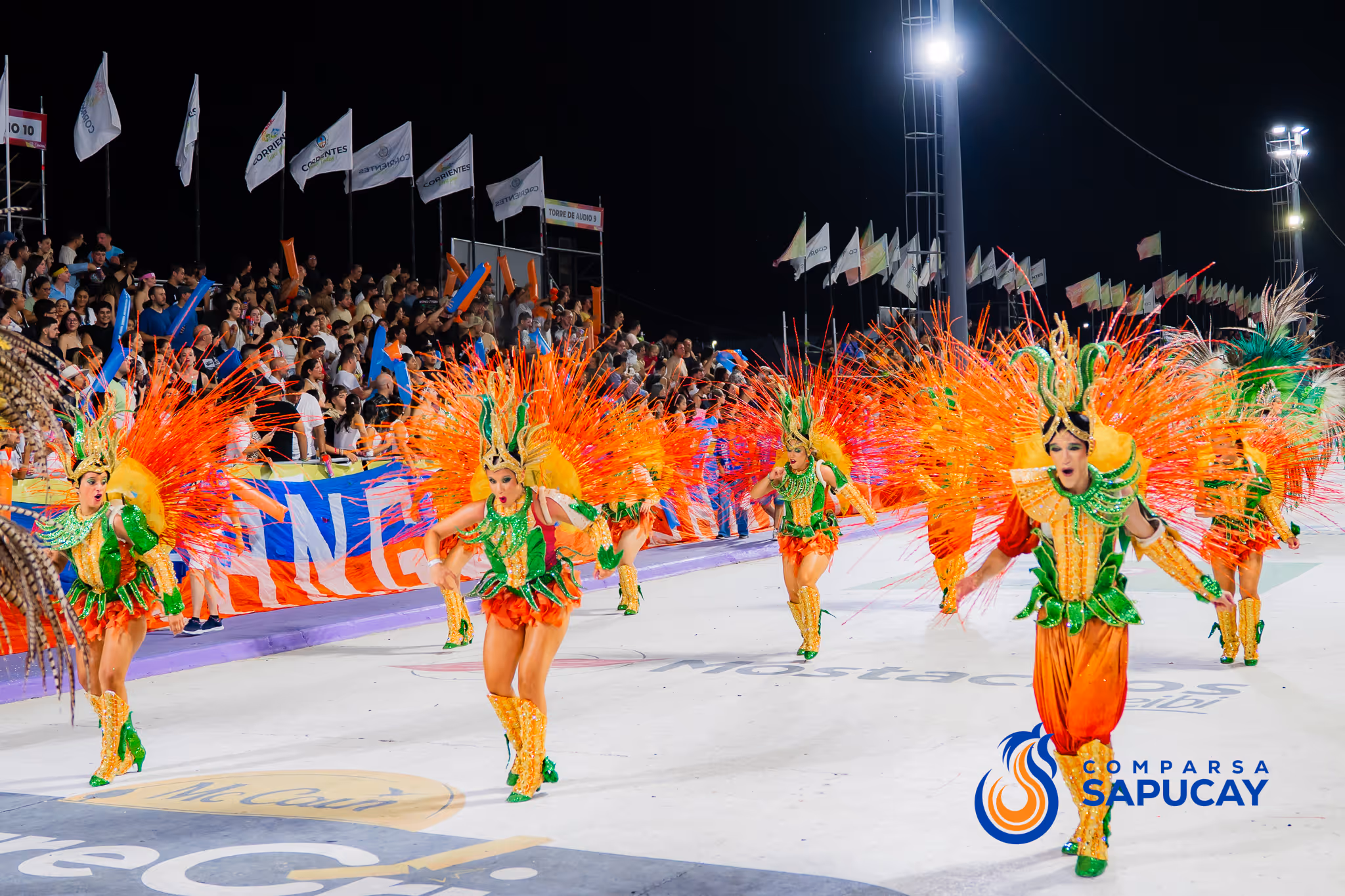 Galería de fotos del corso del Carnaval 2025