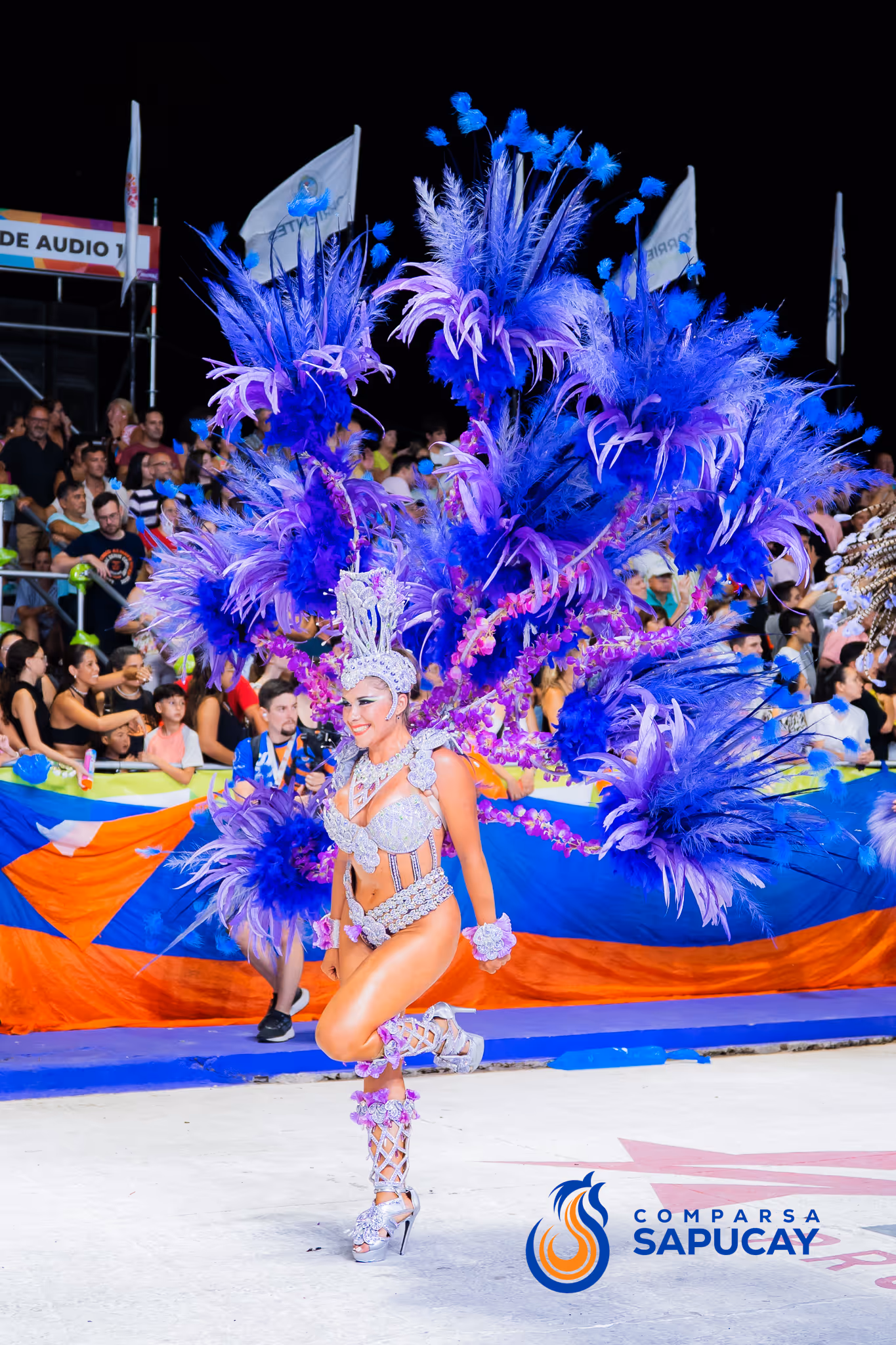 Galería de fotos del corso del Carnaval 2025