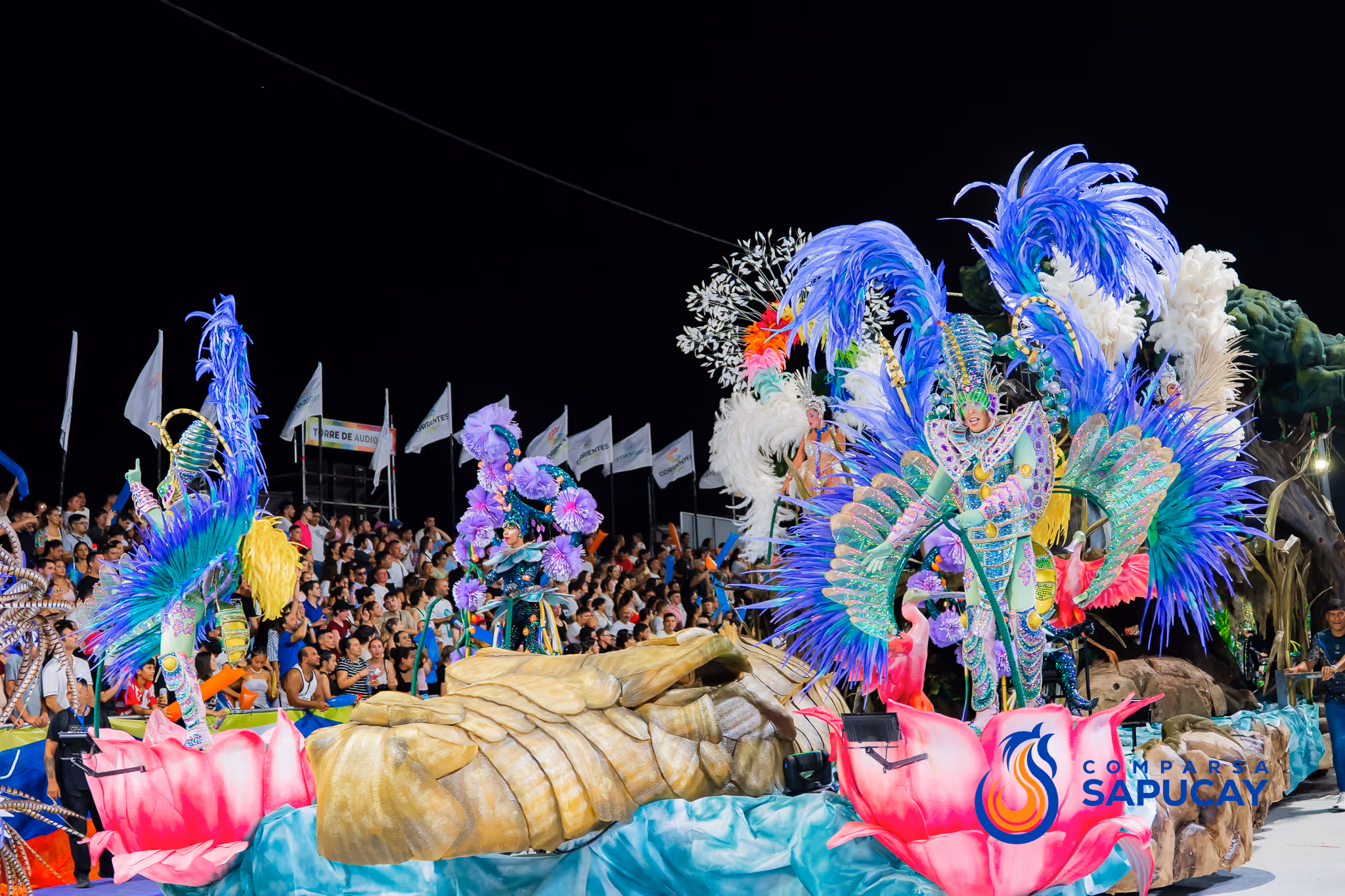 Galería de fotos del corso del Carnaval 2025