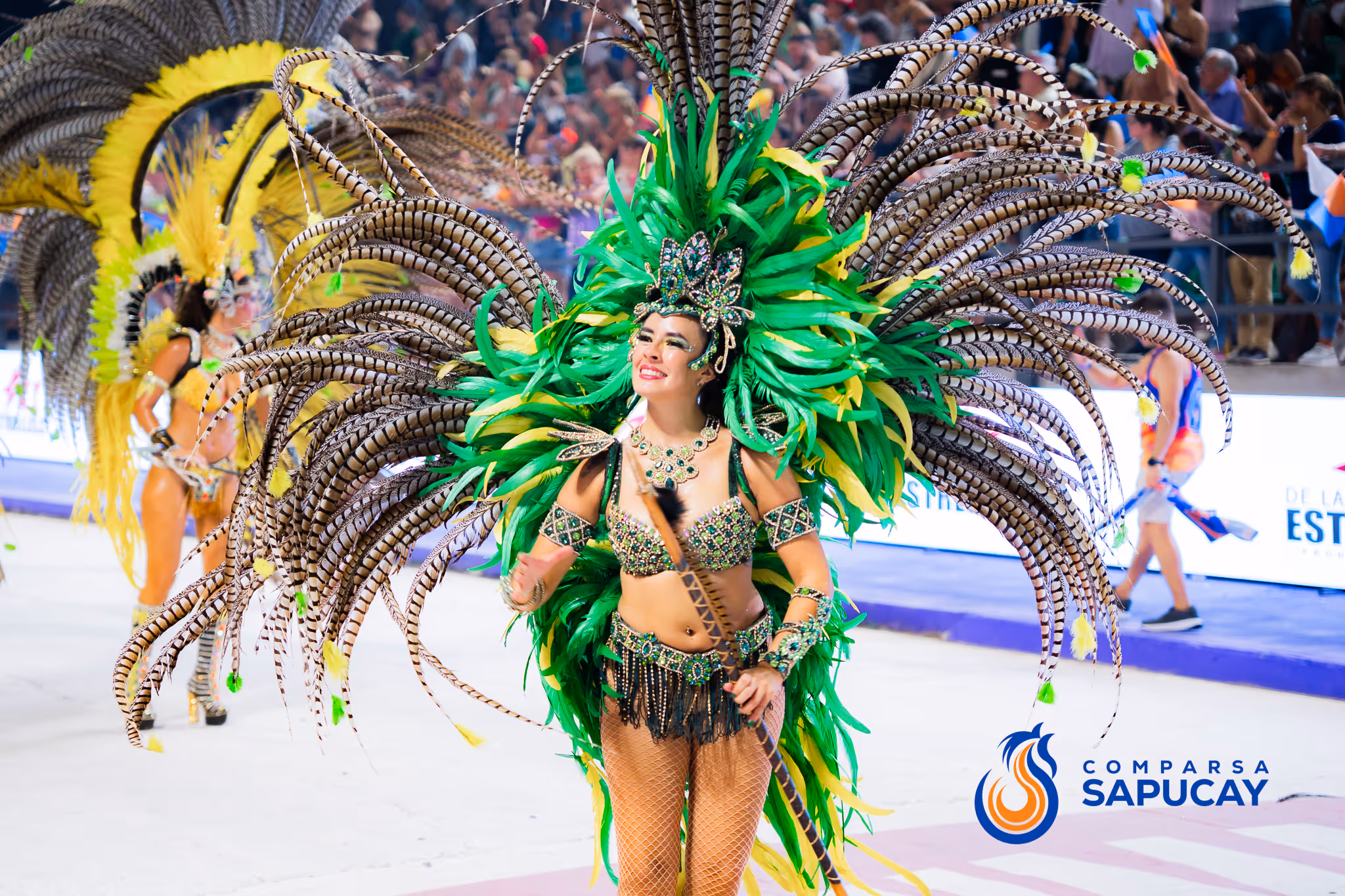 Galería de fotos del corso del Carnaval 2025