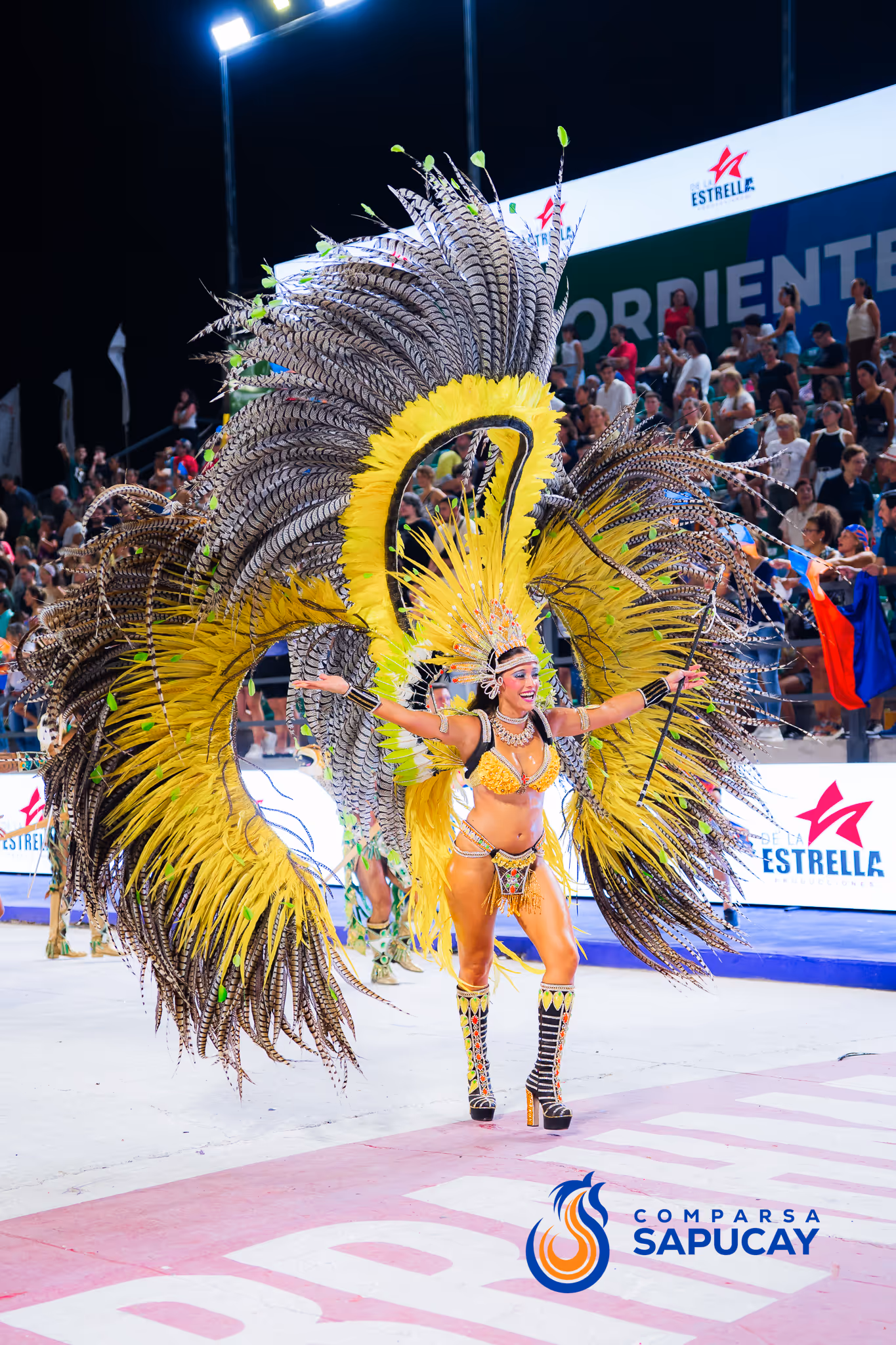 Galería de fotos del corso del Carnaval 2025