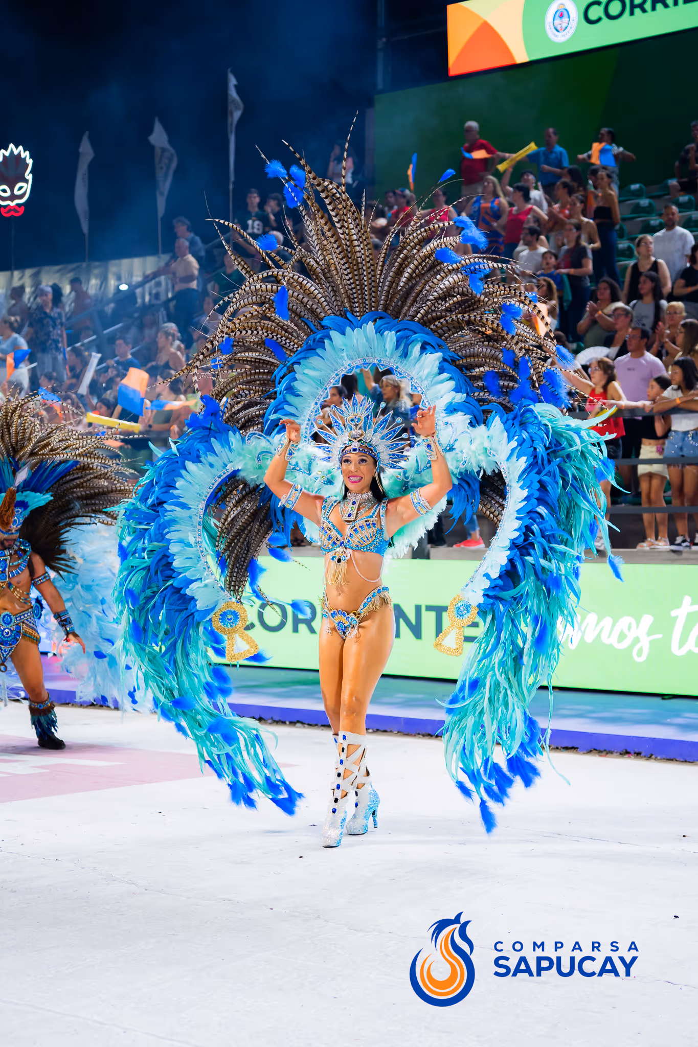 Galería de fotos del corso del Carnaval 2025