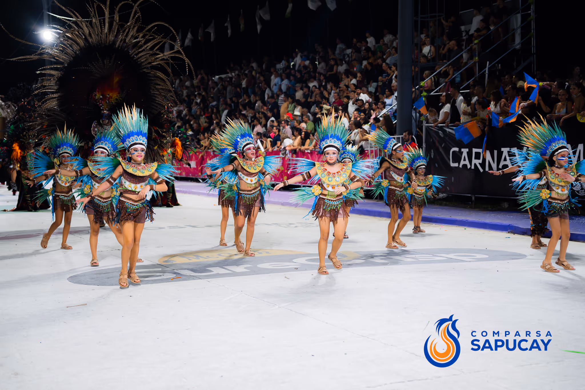 Galería de fotos del corso del Carnaval 2025
