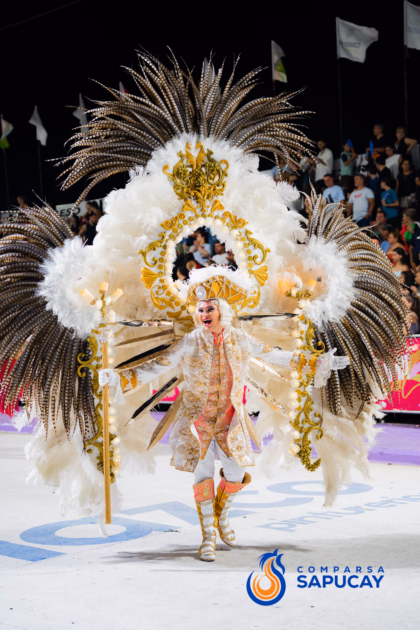 Galería de fotos del corso del Carnaval 2025