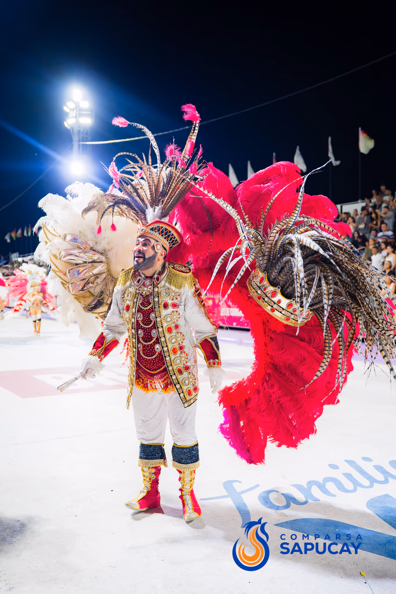 Galería de fotos del corso del Carnaval 2025
