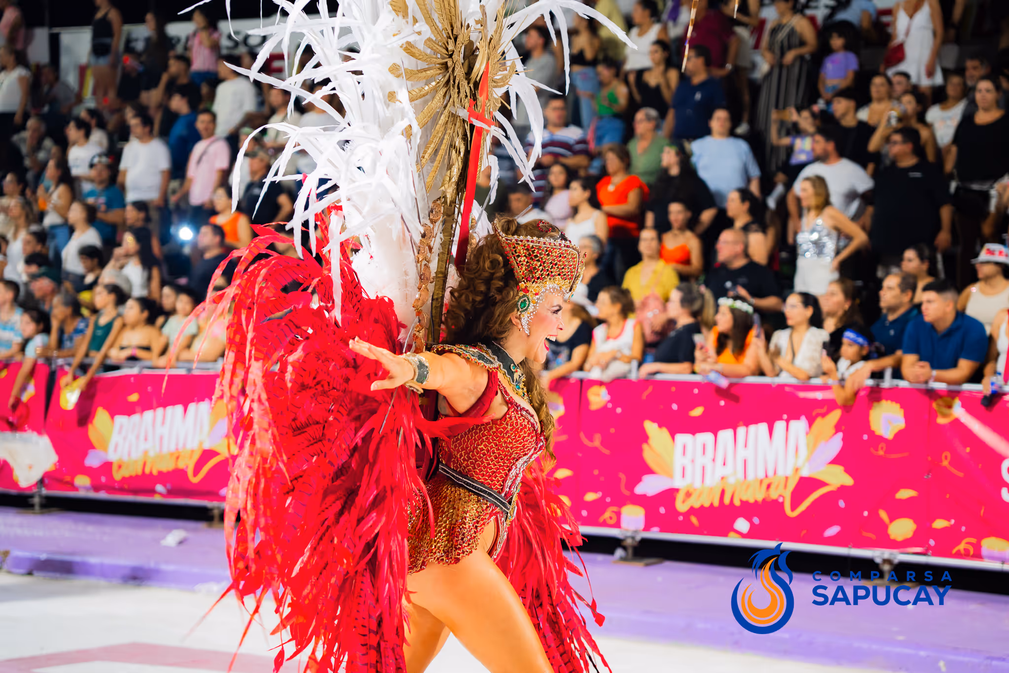 Galería de fotos del corso del Carnaval 2025