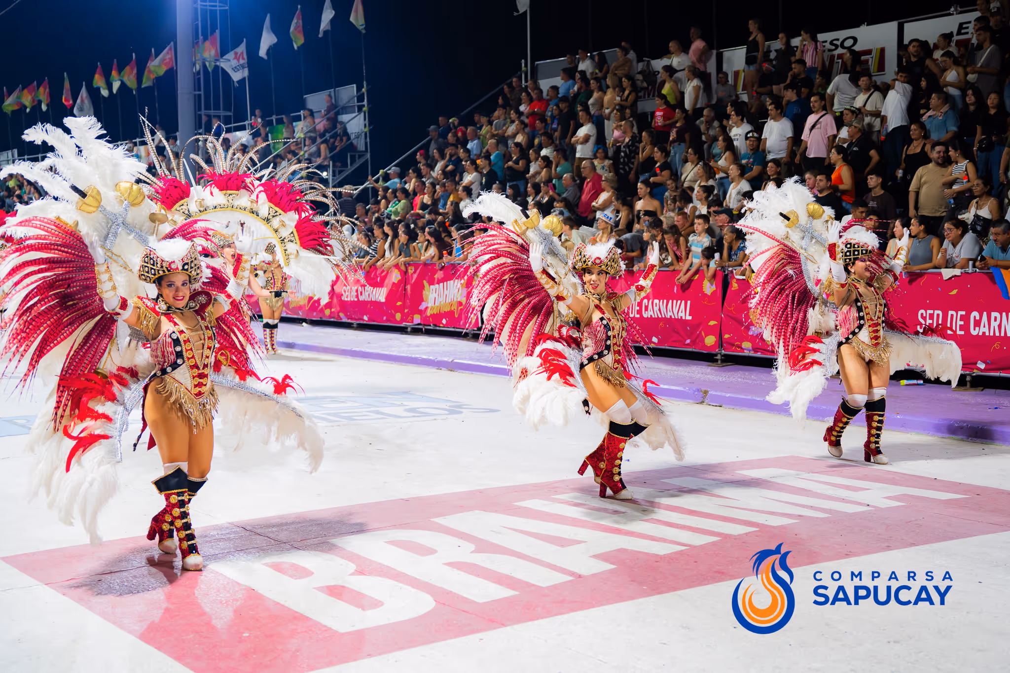 Galería de fotos del corso del Carnaval 2025