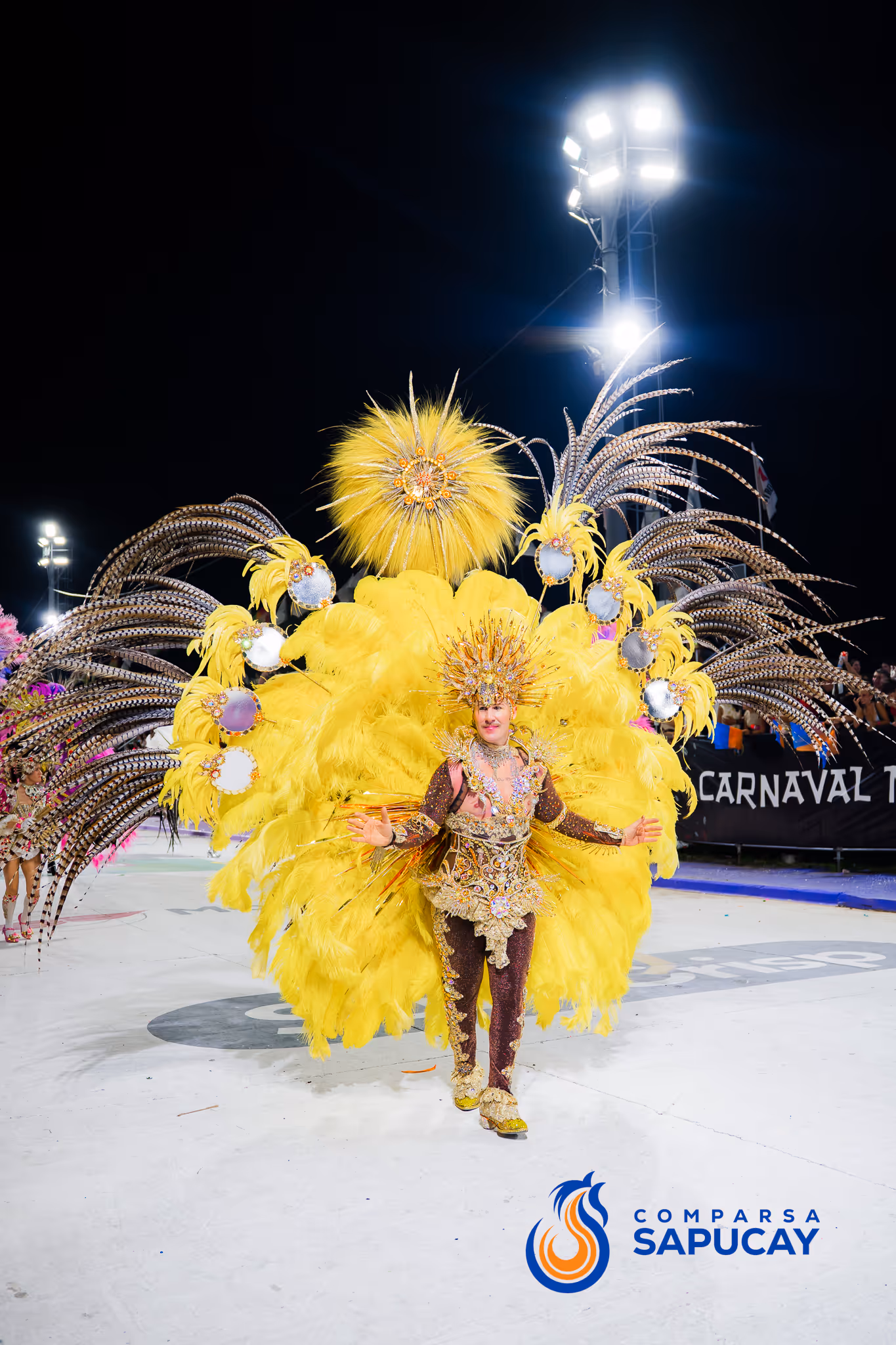 Galería de fotos del corso del Carnaval 2025
