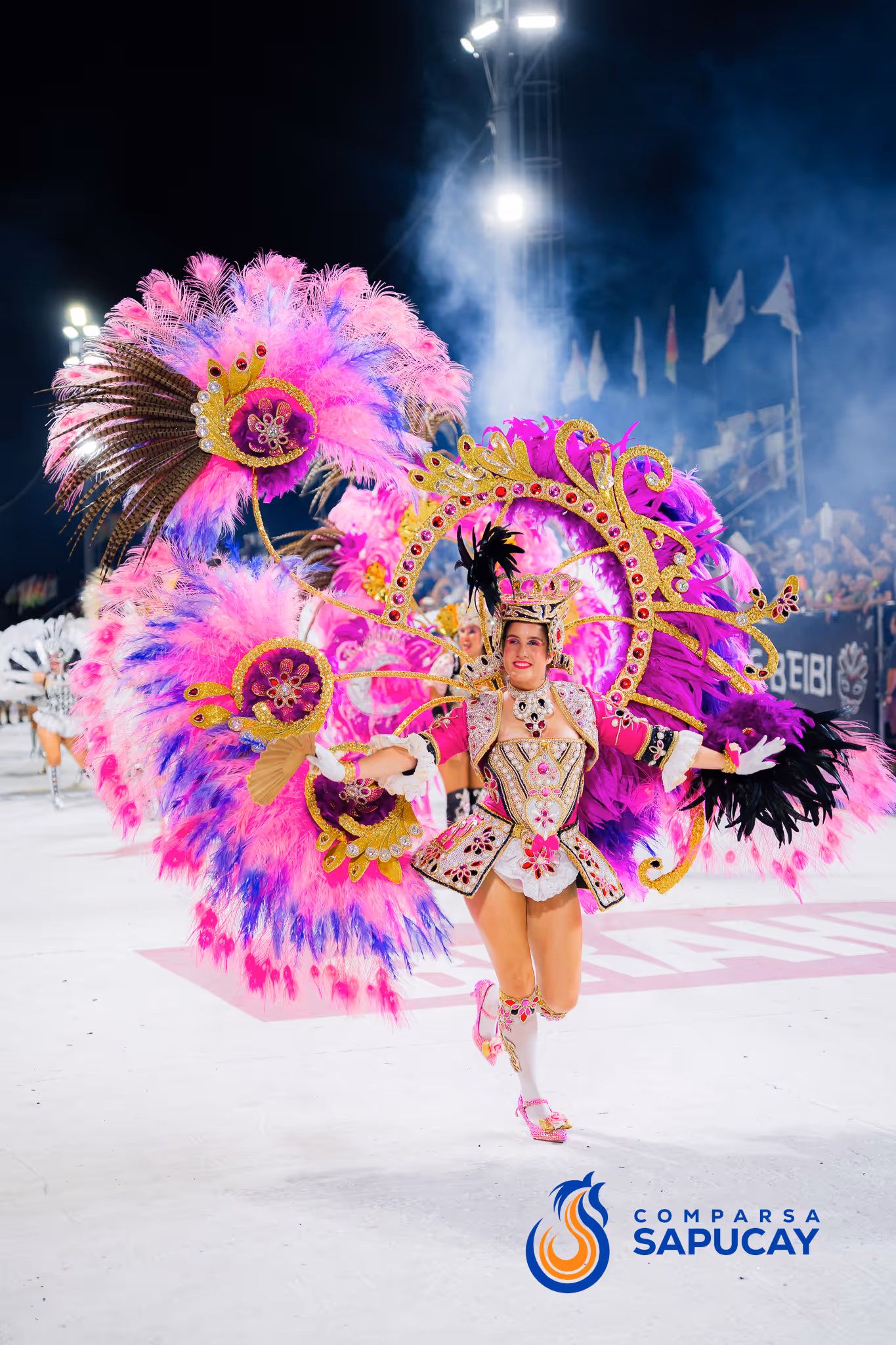 Galería de fotos del corso del Carnaval 2025