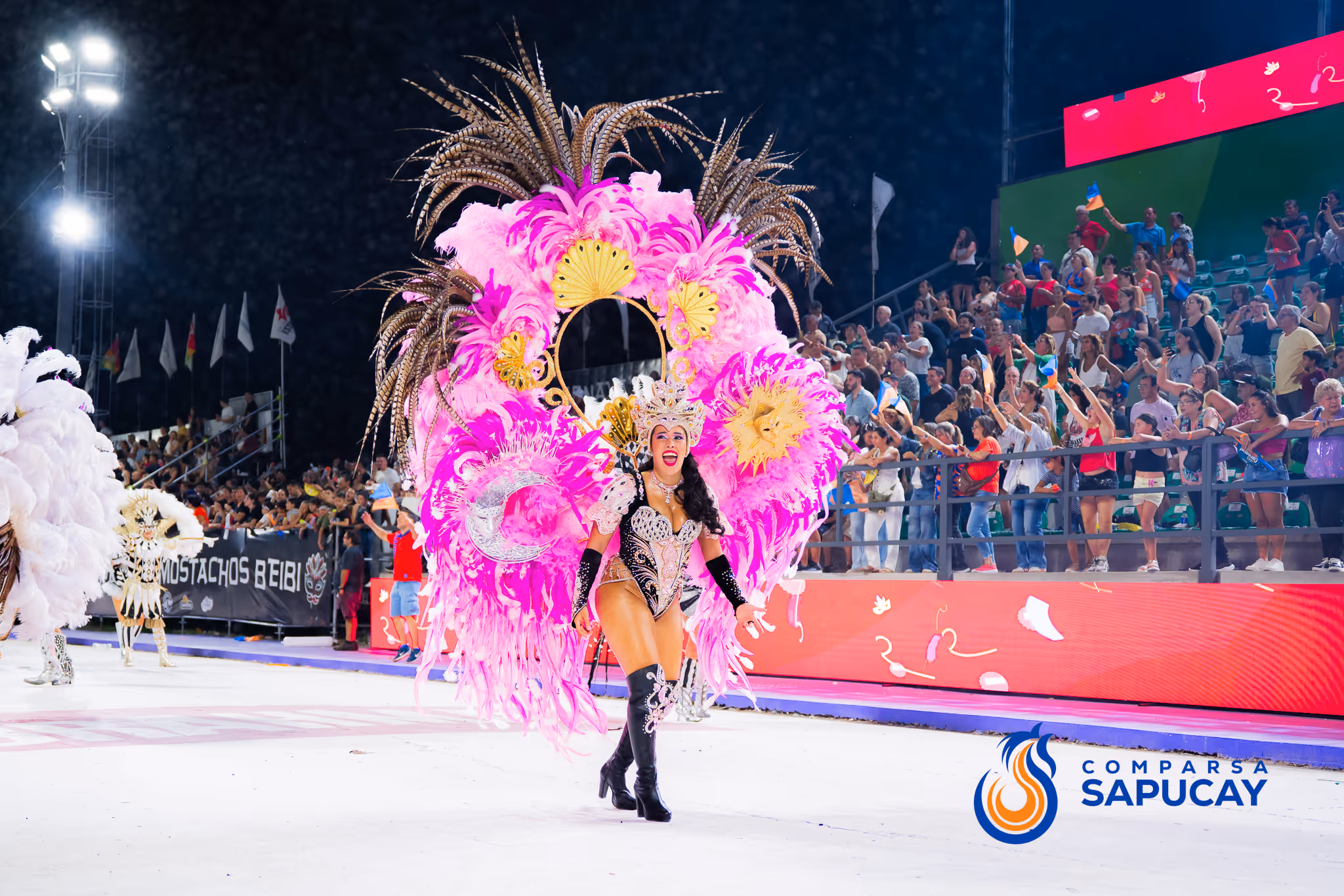 Galería de fotos del corso del Carnaval 2025
