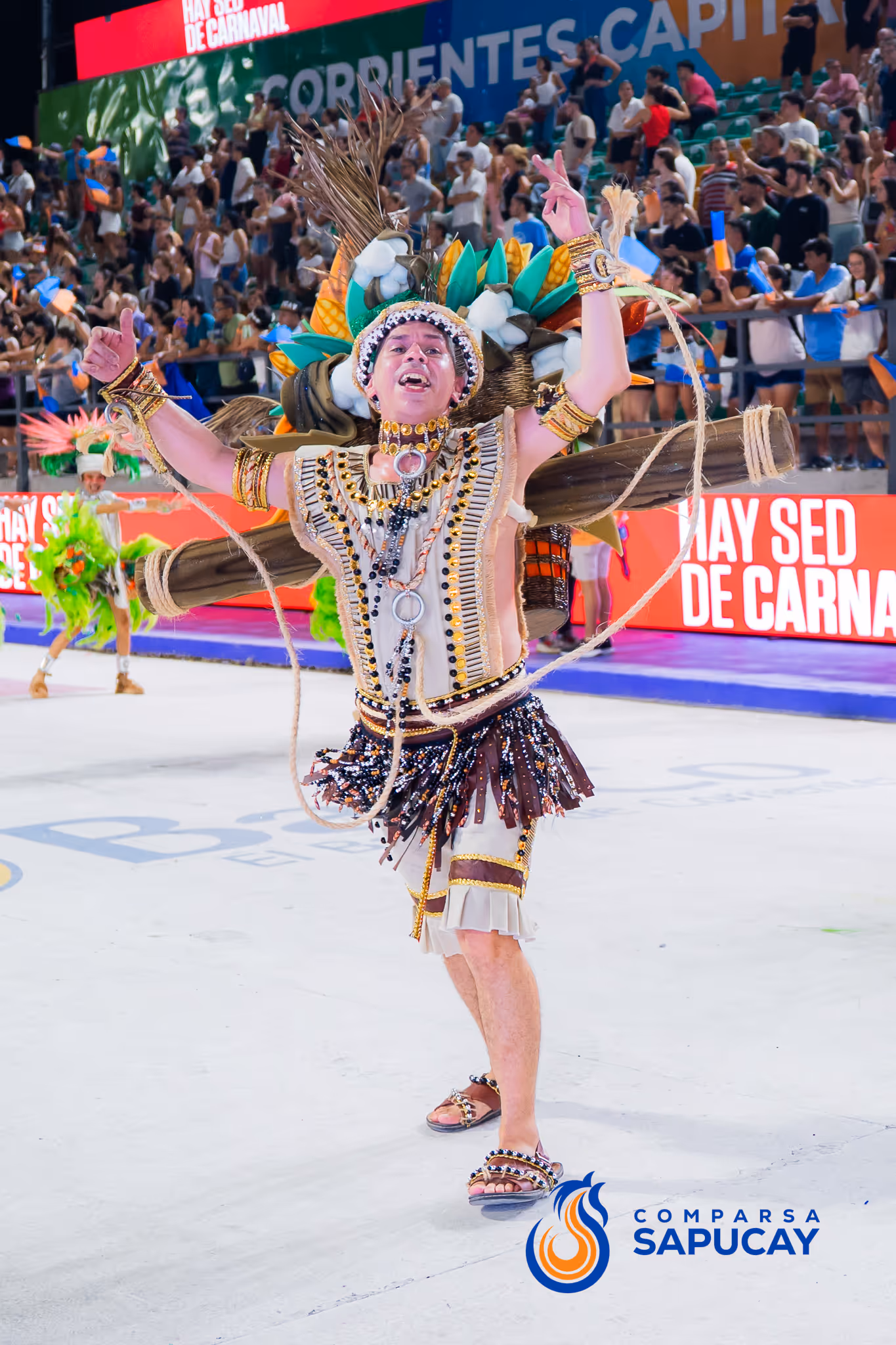 Galería de fotos del corso del Carnaval 2025