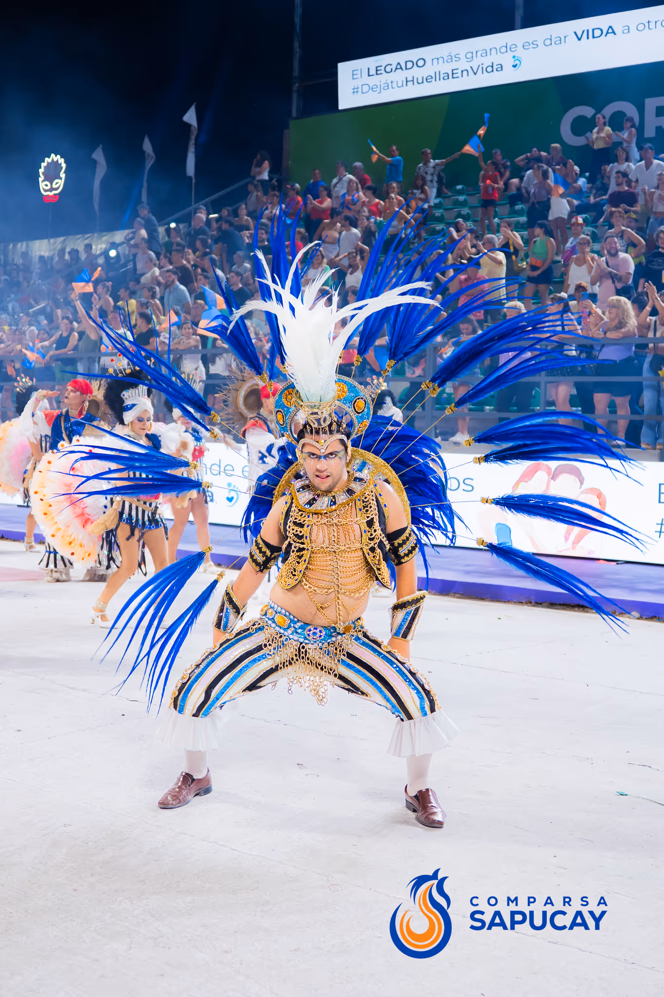 Galería de fotos del corso del Carnaval 2025